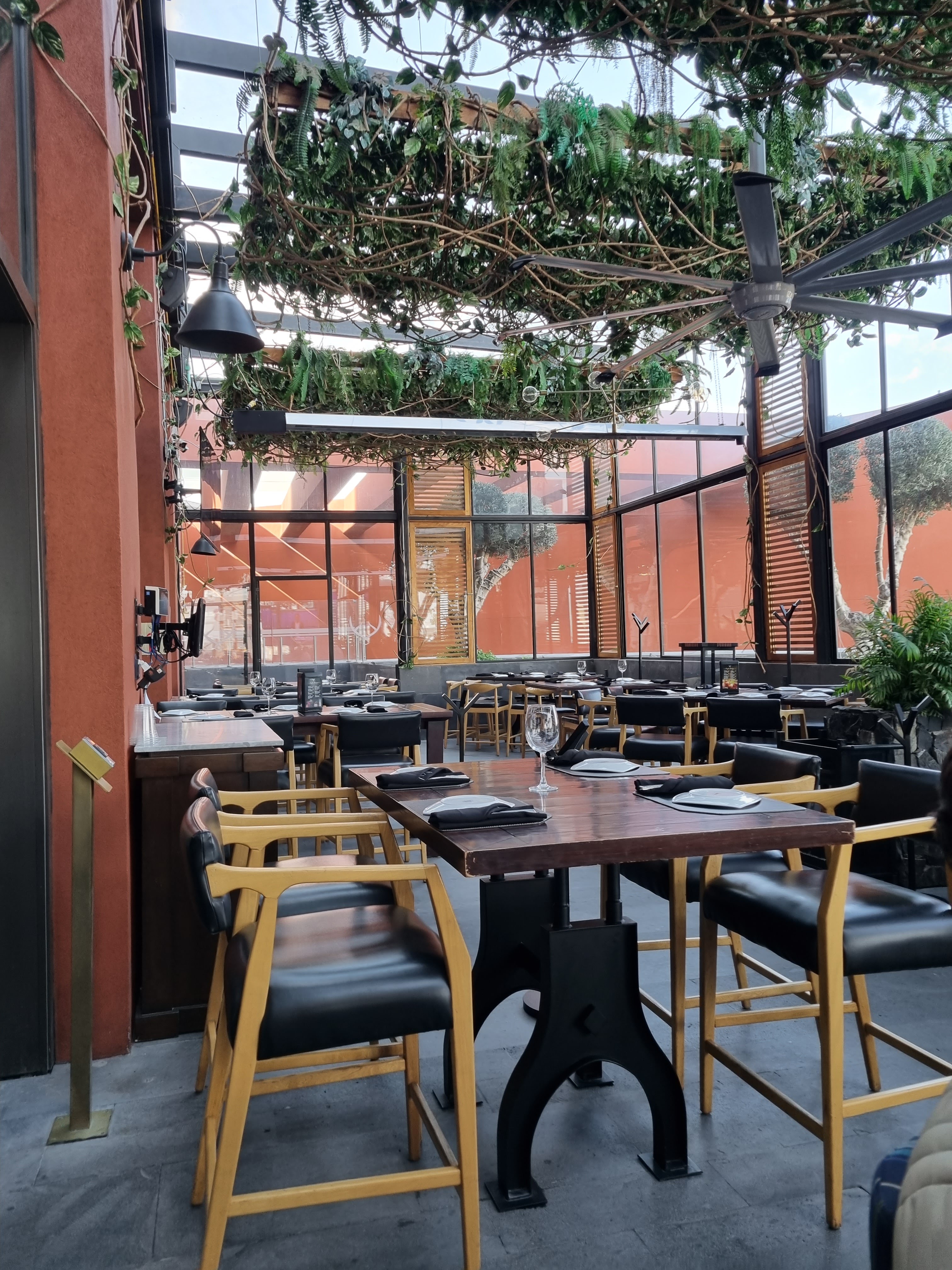 Mochomos San Luis Potosí image 8