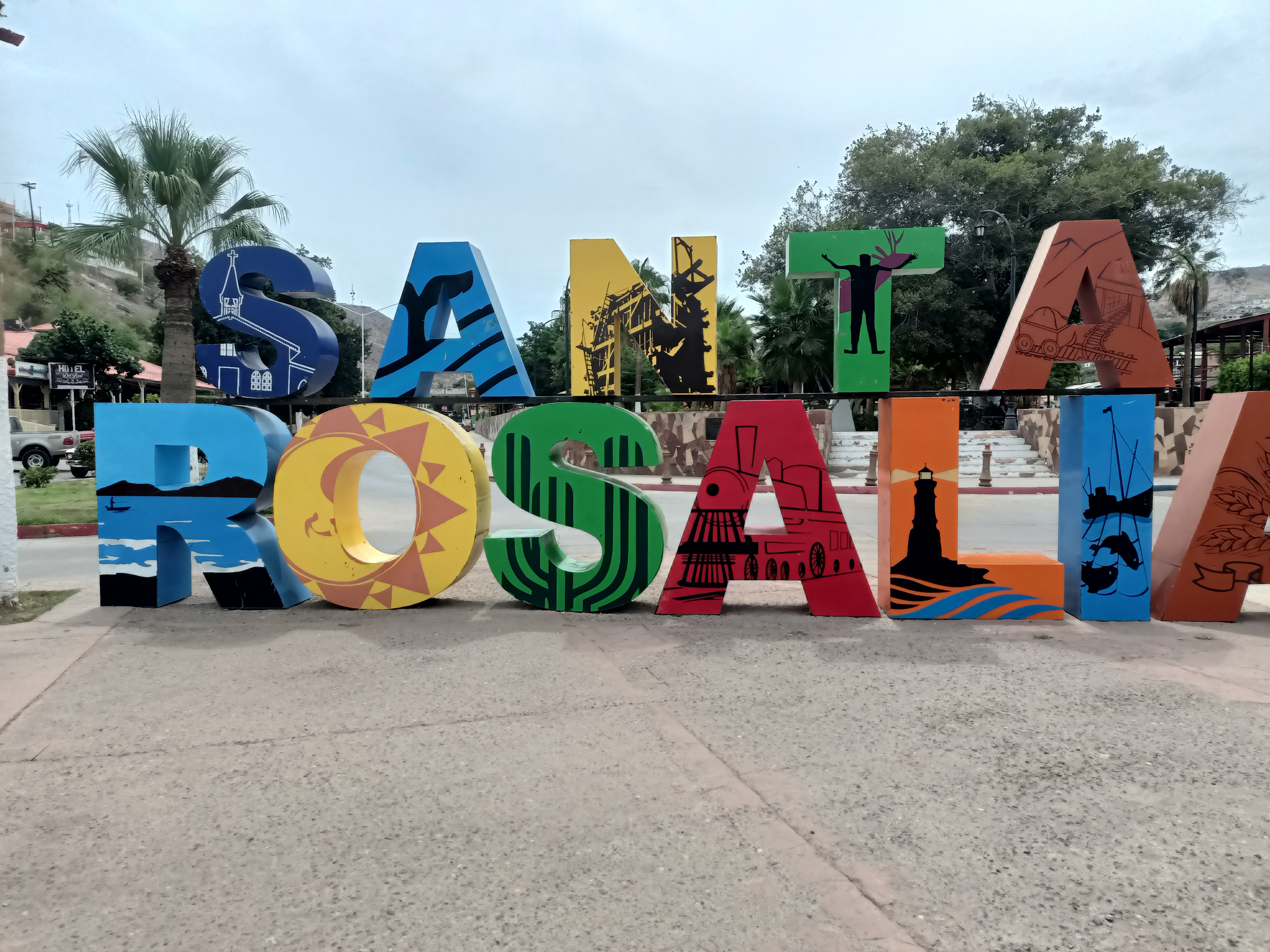 Tercos Pollitos image 3