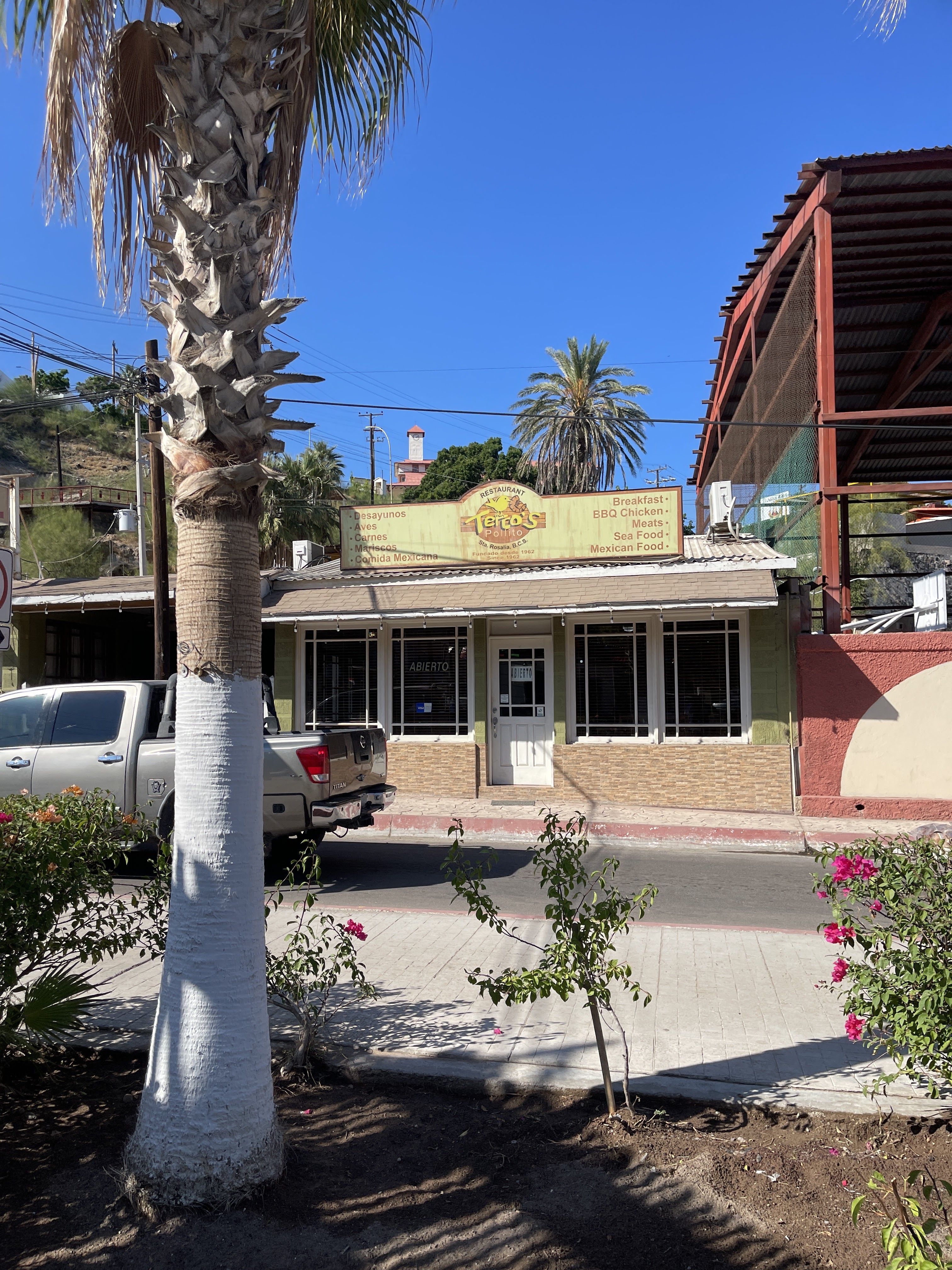 Tercos Pollitos image 4