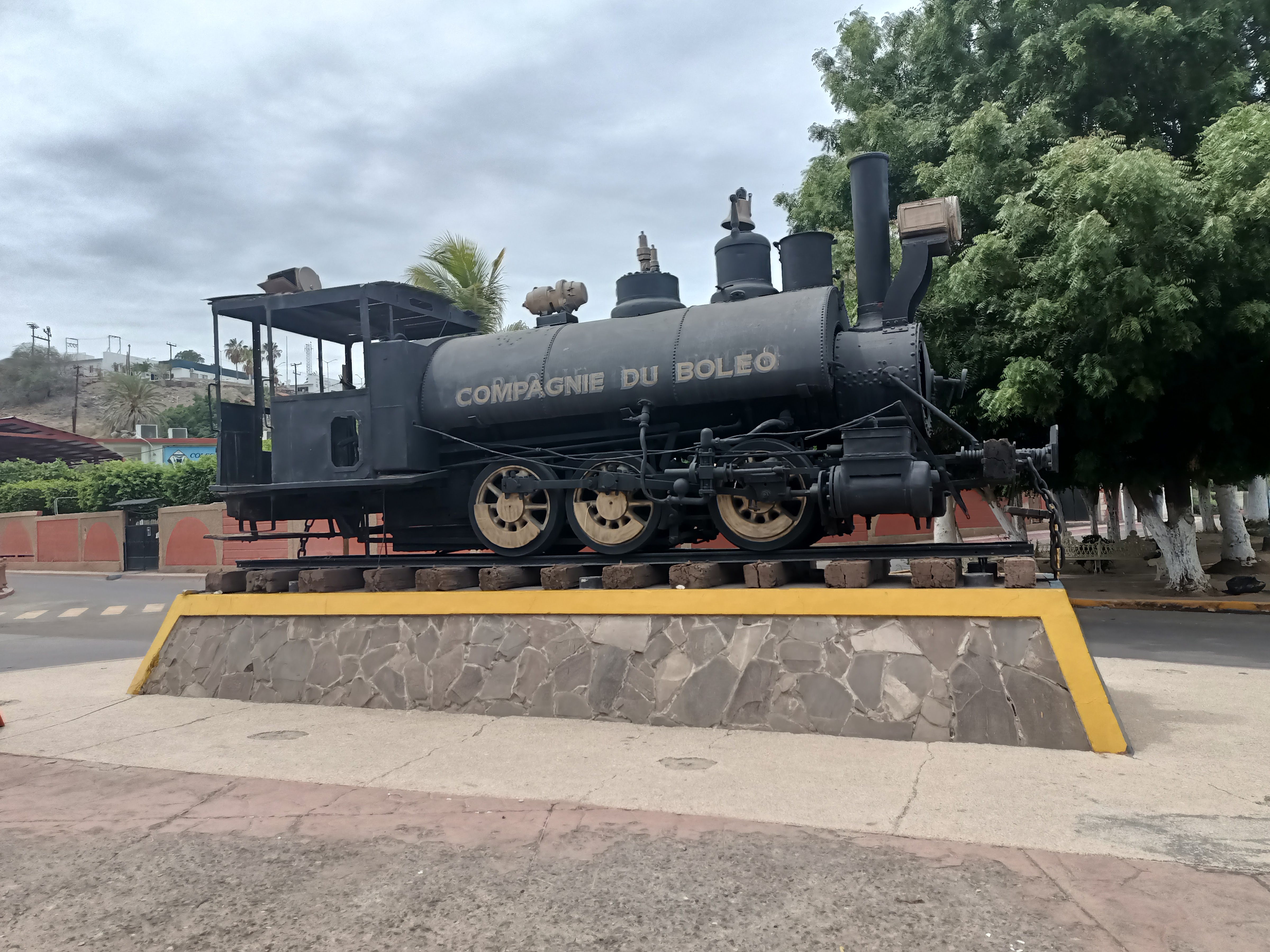 Tercos Pollitos image 5