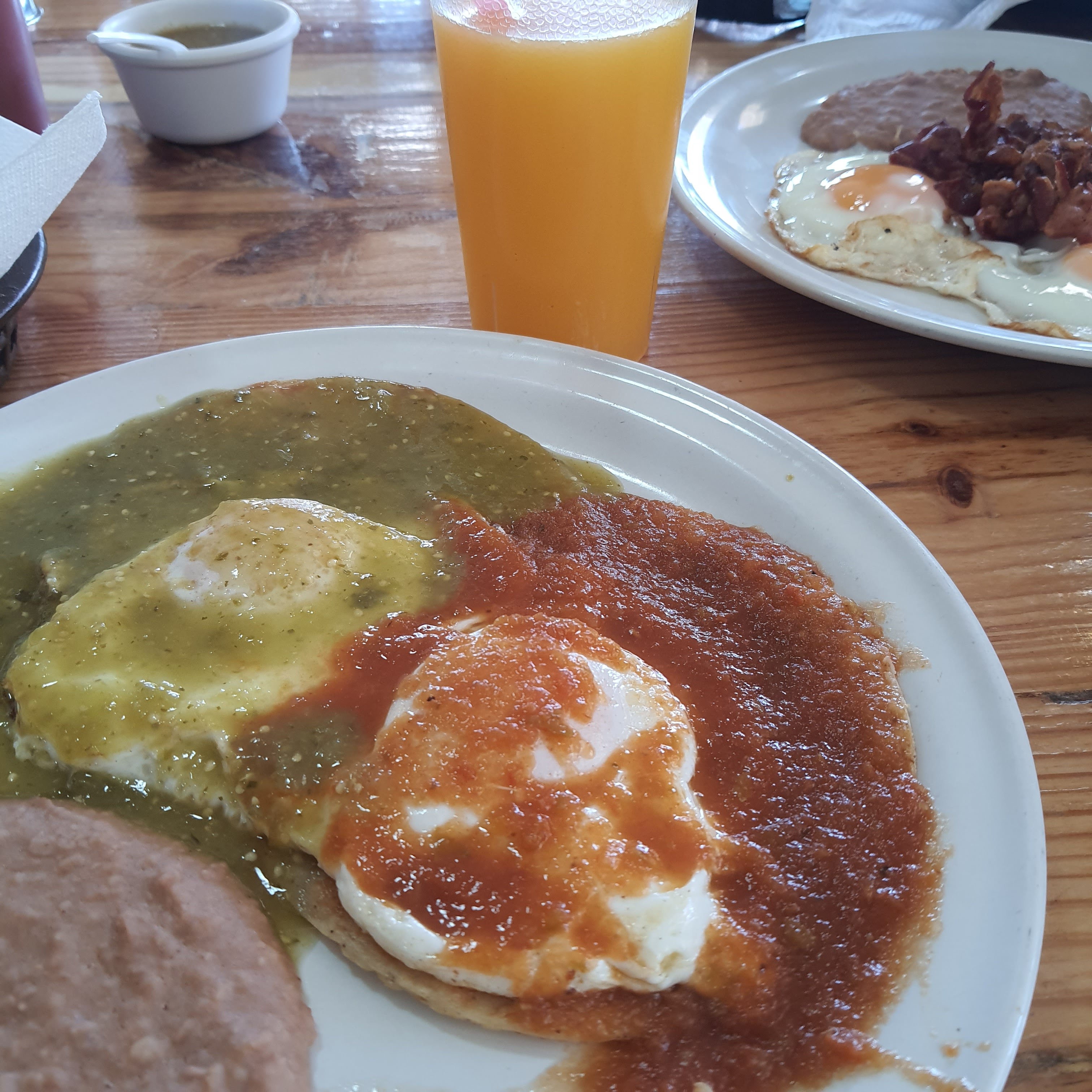 Tercos Pollitos image 7