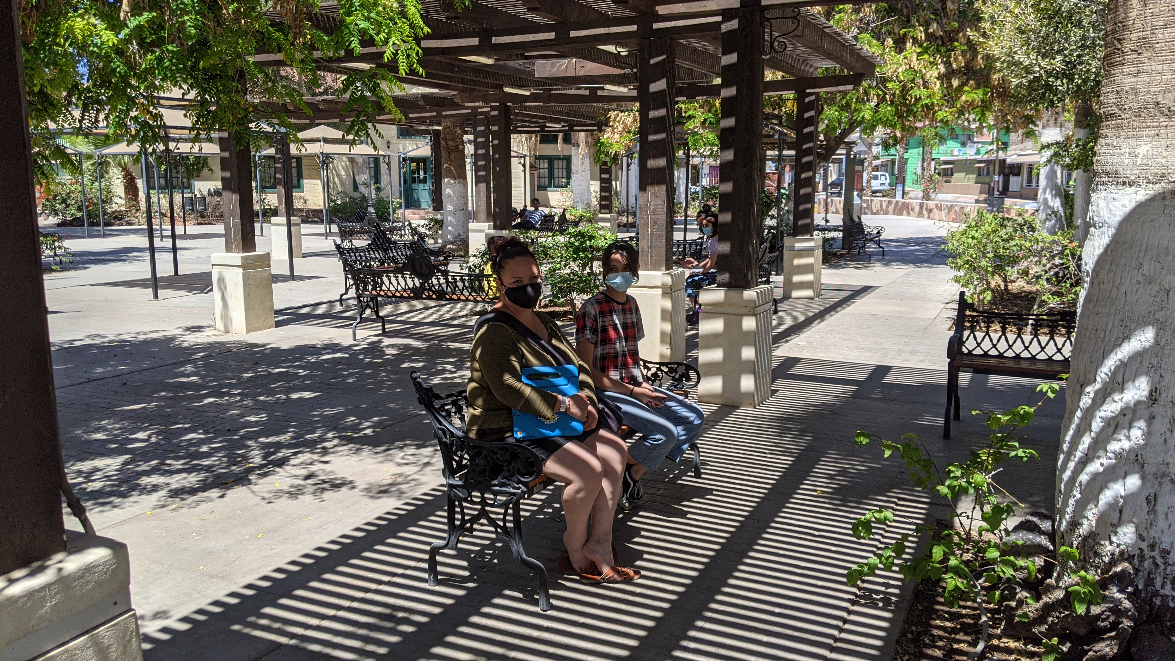 Tercos Pollitos image 9