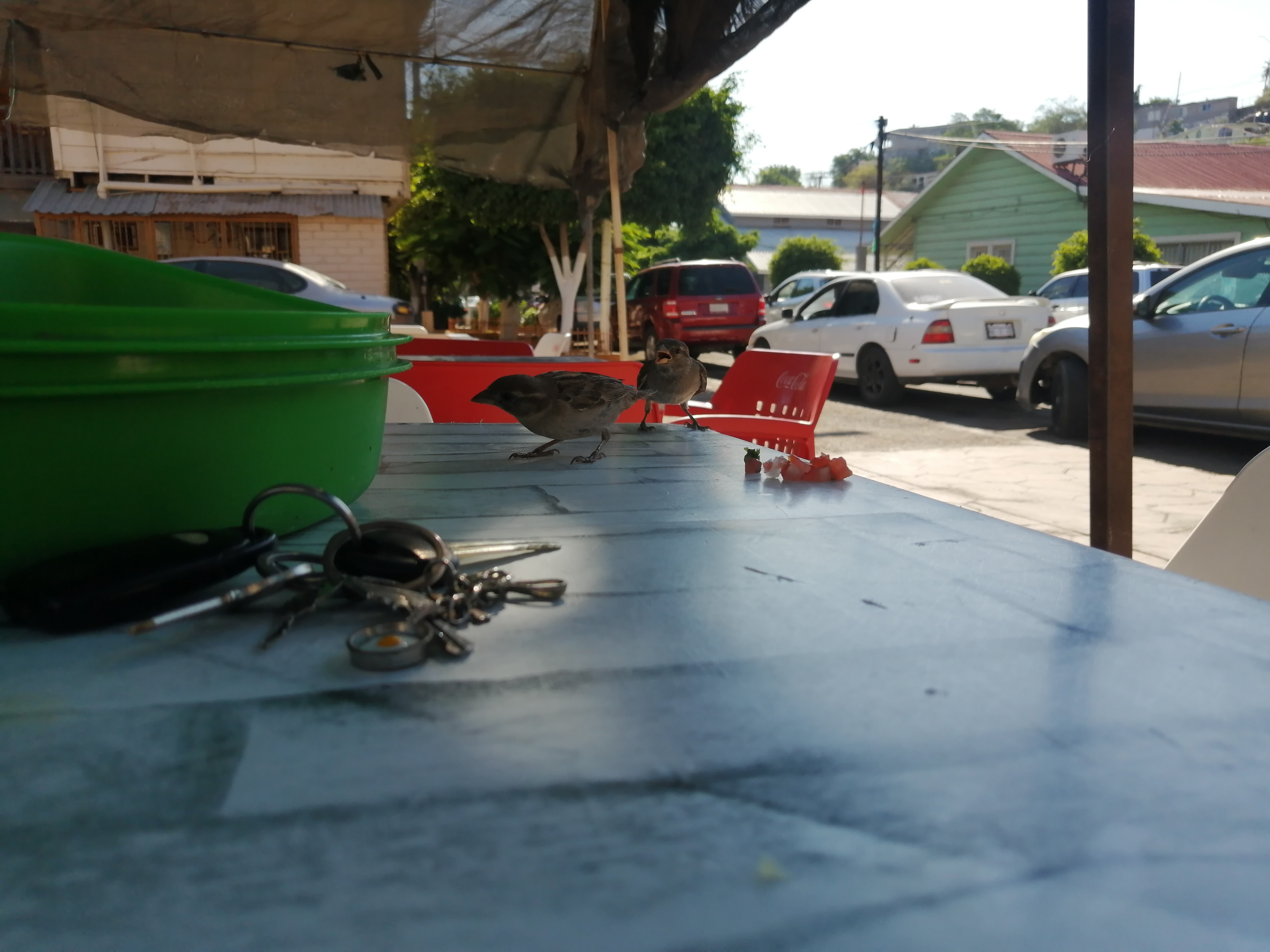 Tacos y Mariscos El Faro Verde image 4