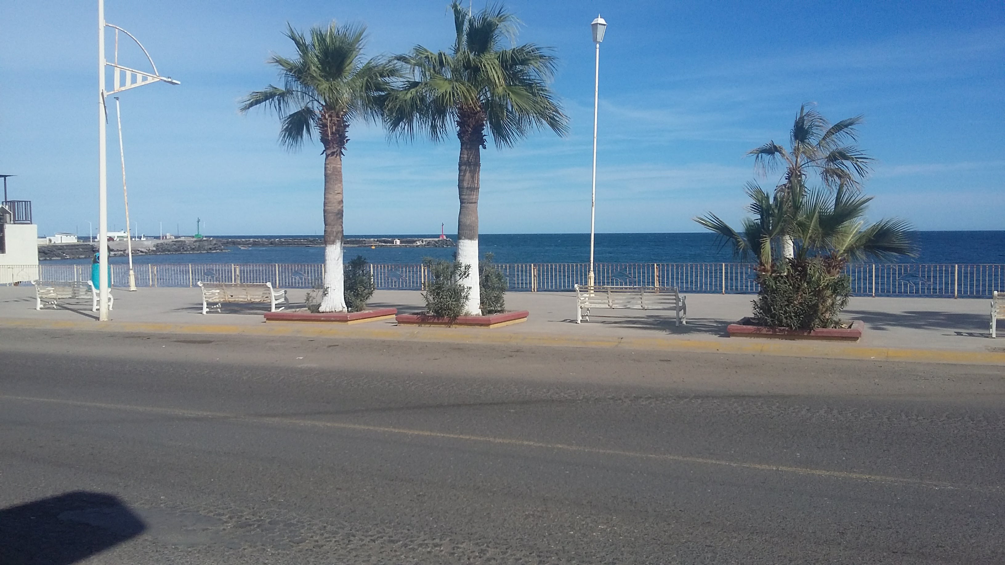 restaurant china city中国城 image 9