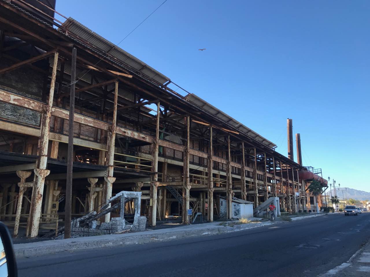 restaurant china city中国城 image 10