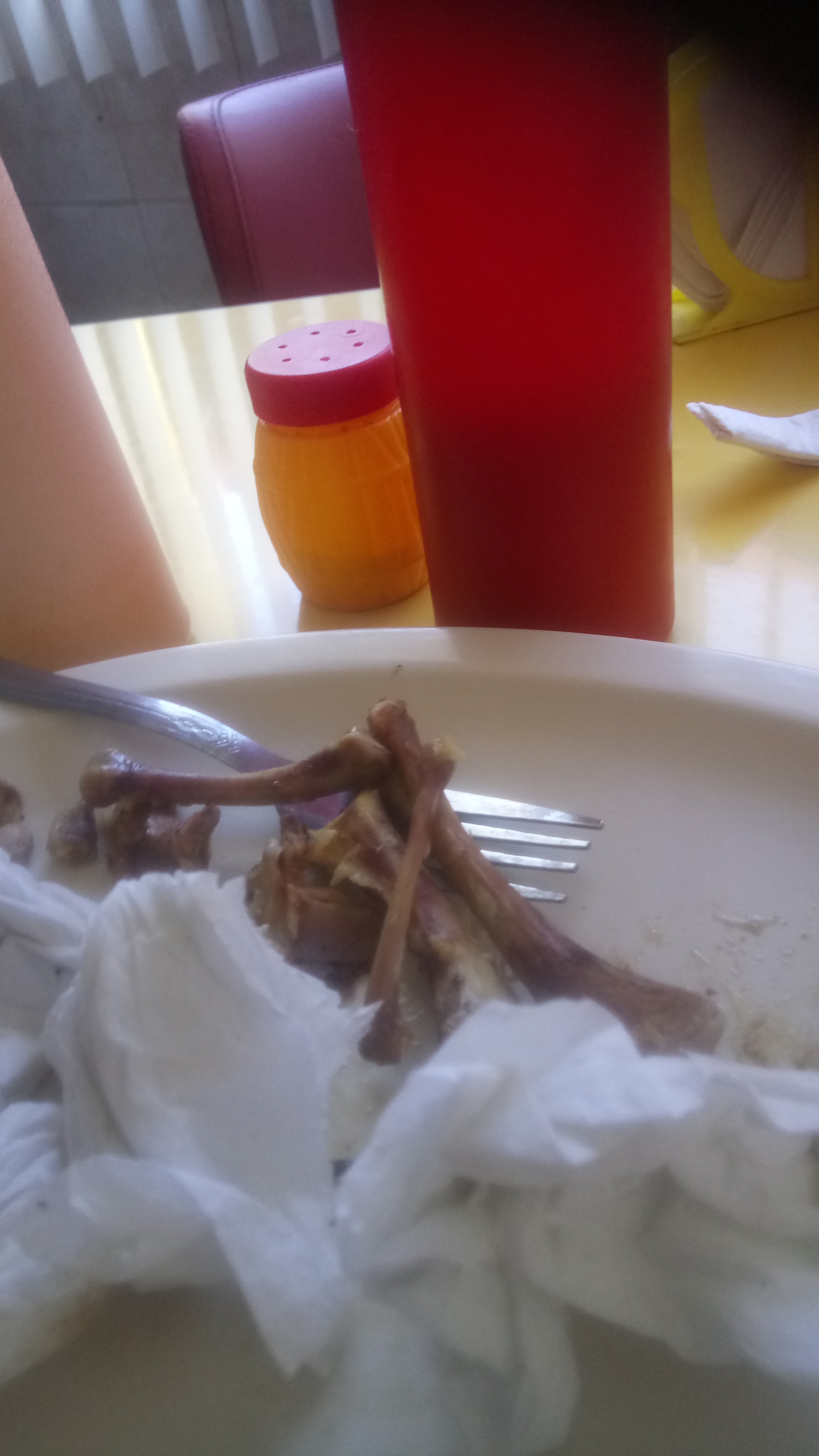 El Granpollo image 7