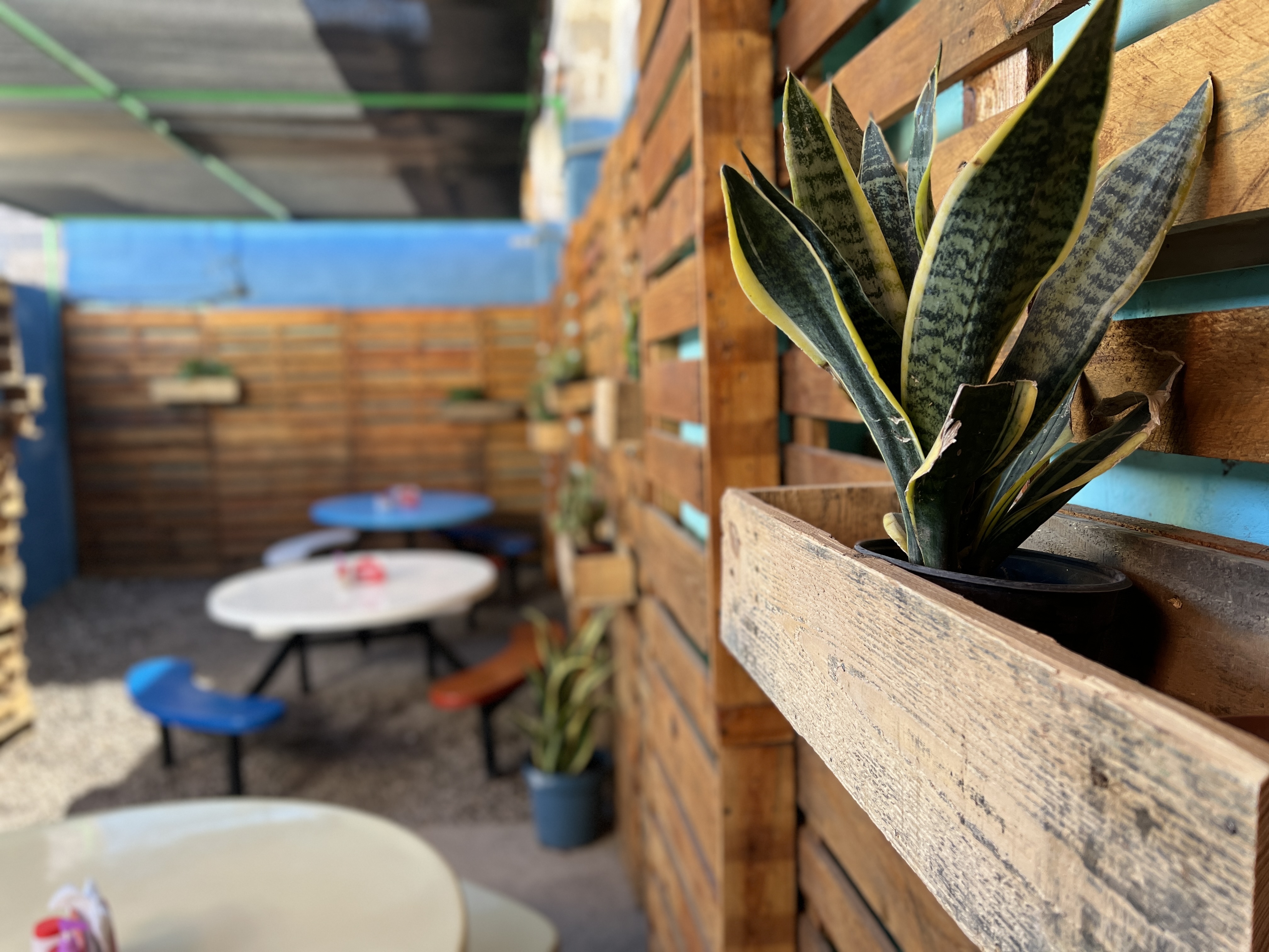 Tacos y tortas “Los compadres” image 3