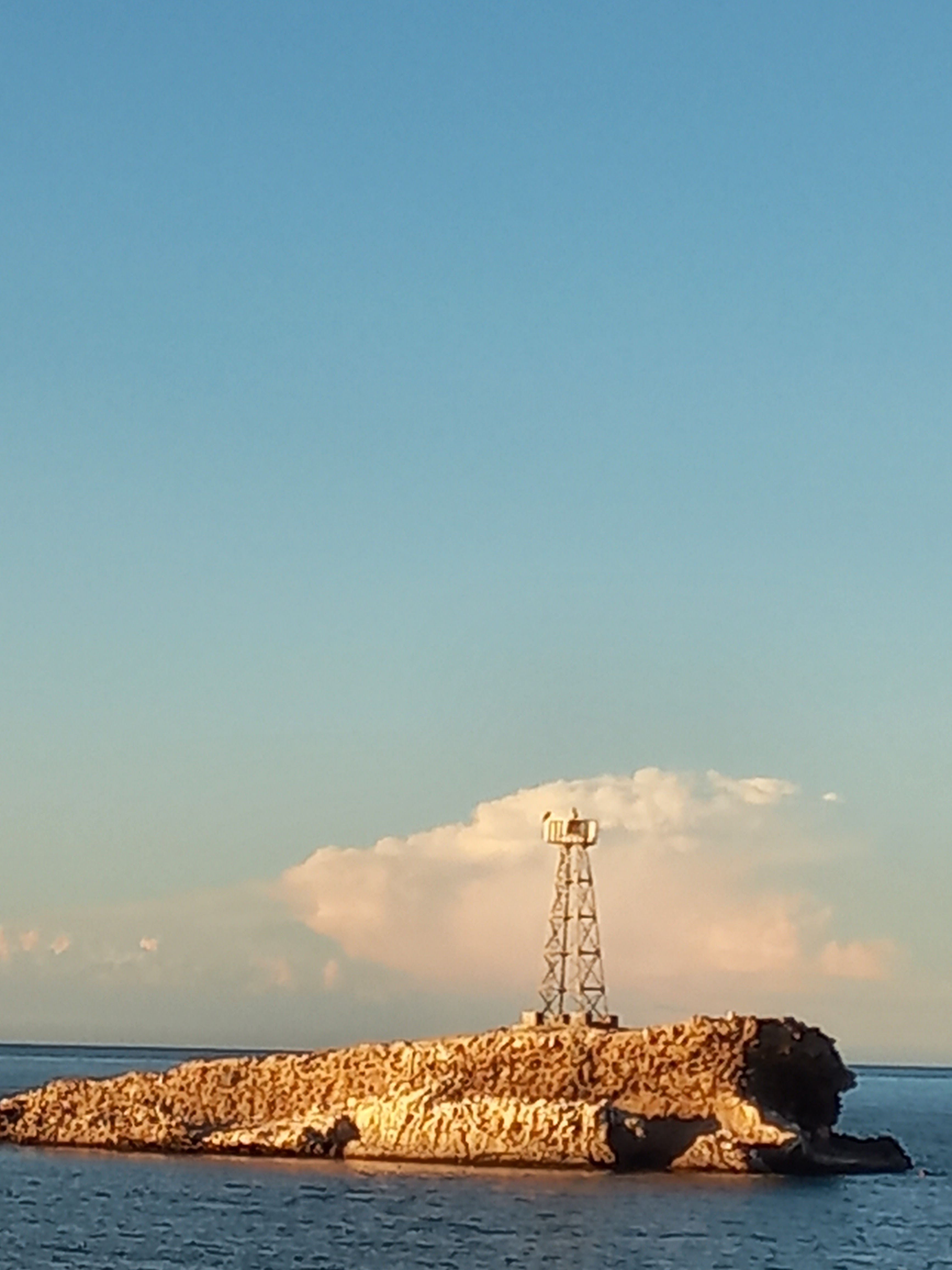 Comida China image 9