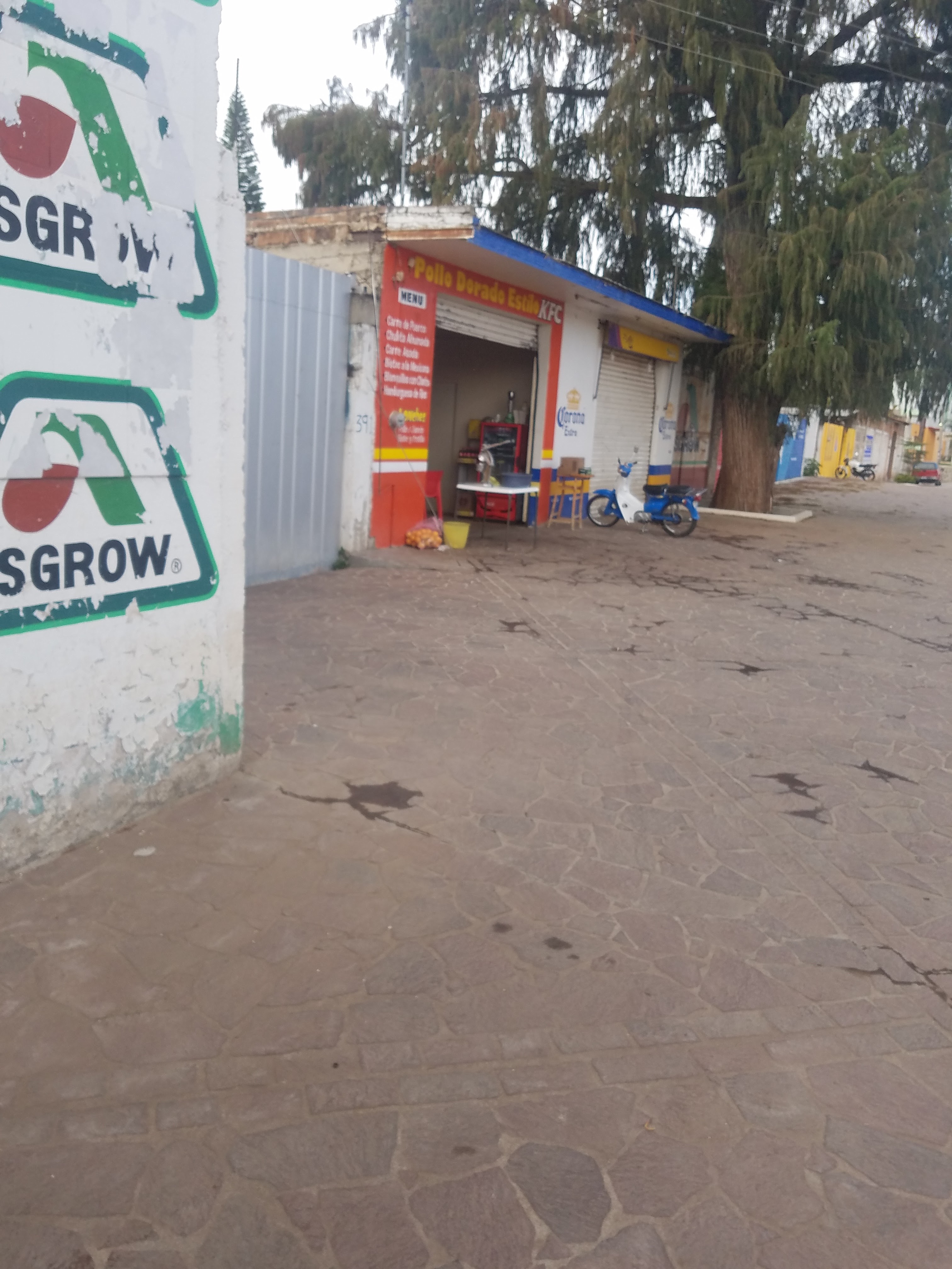 Pollo Dorado Ayotlan image 2