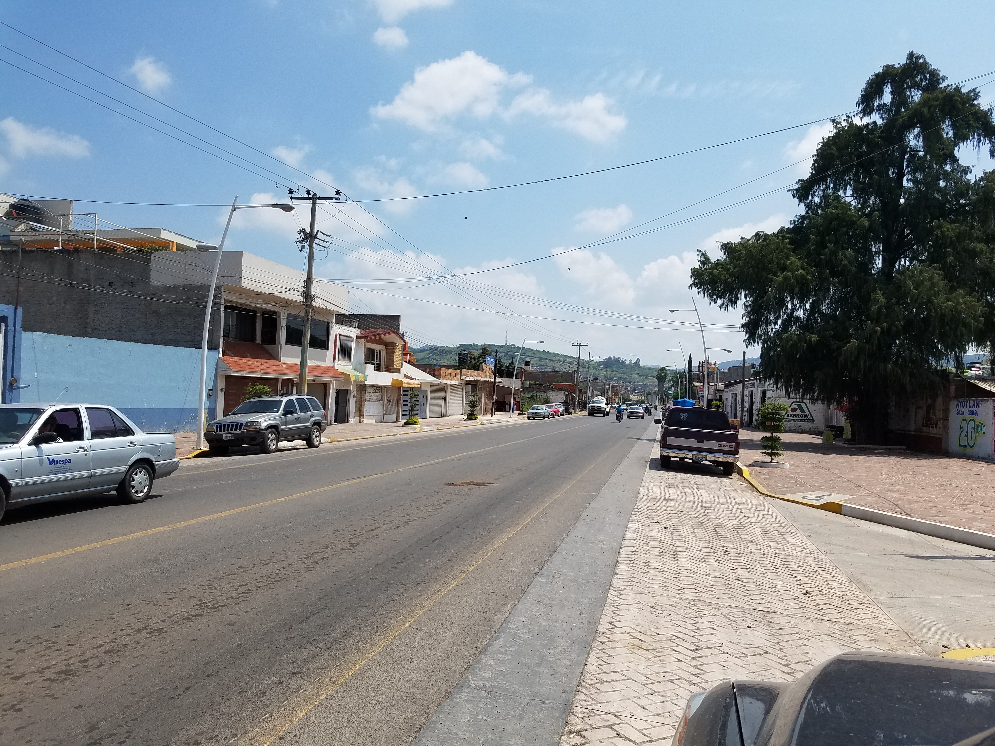 Pollo Dorado Ayotlan image 4