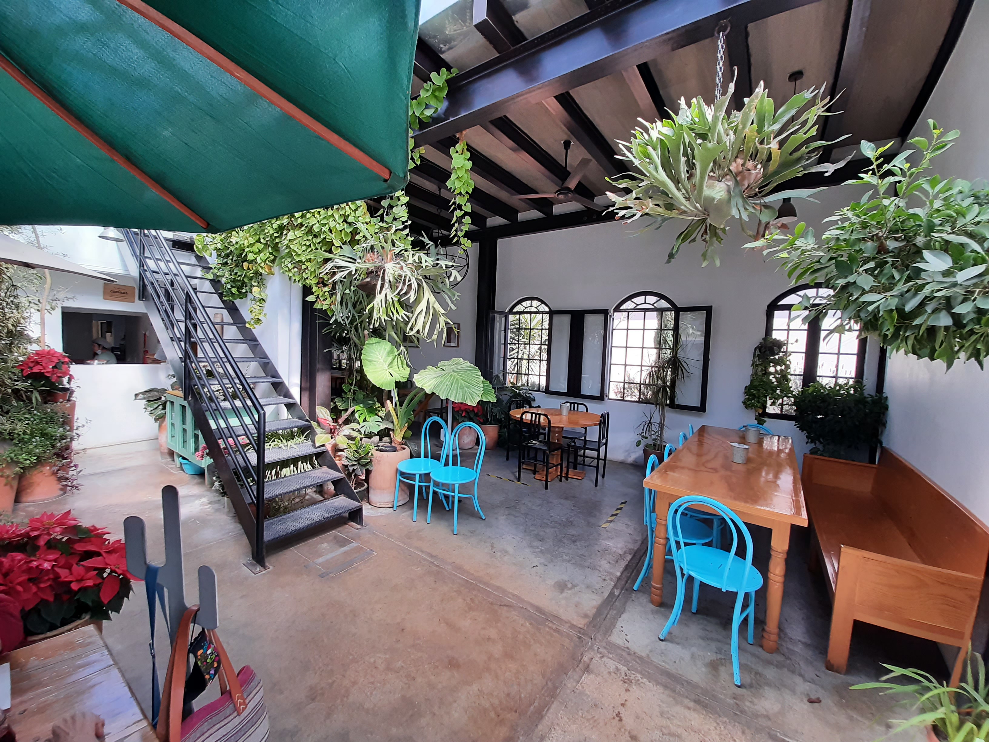 La Panadera y el Chef image 1