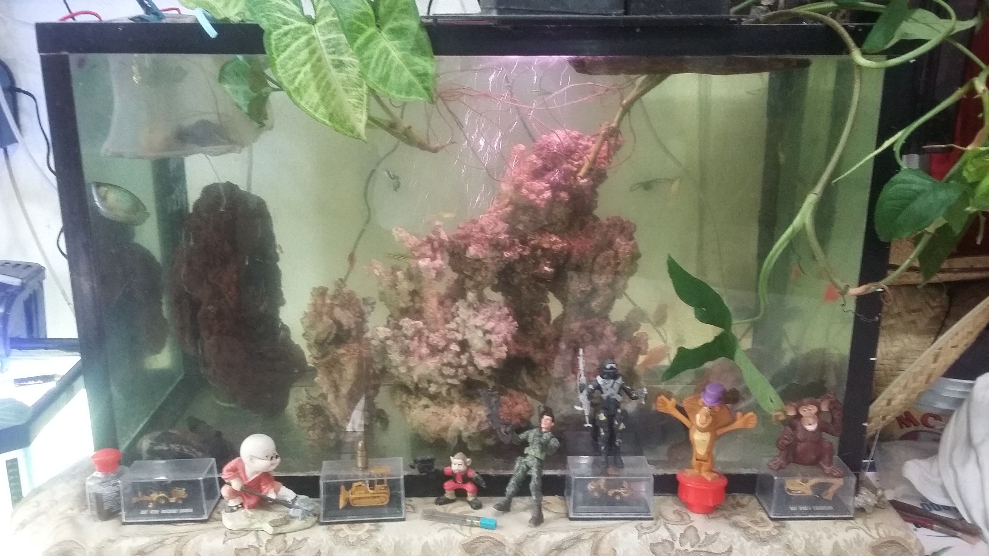 The Club Crazy Burger image 4