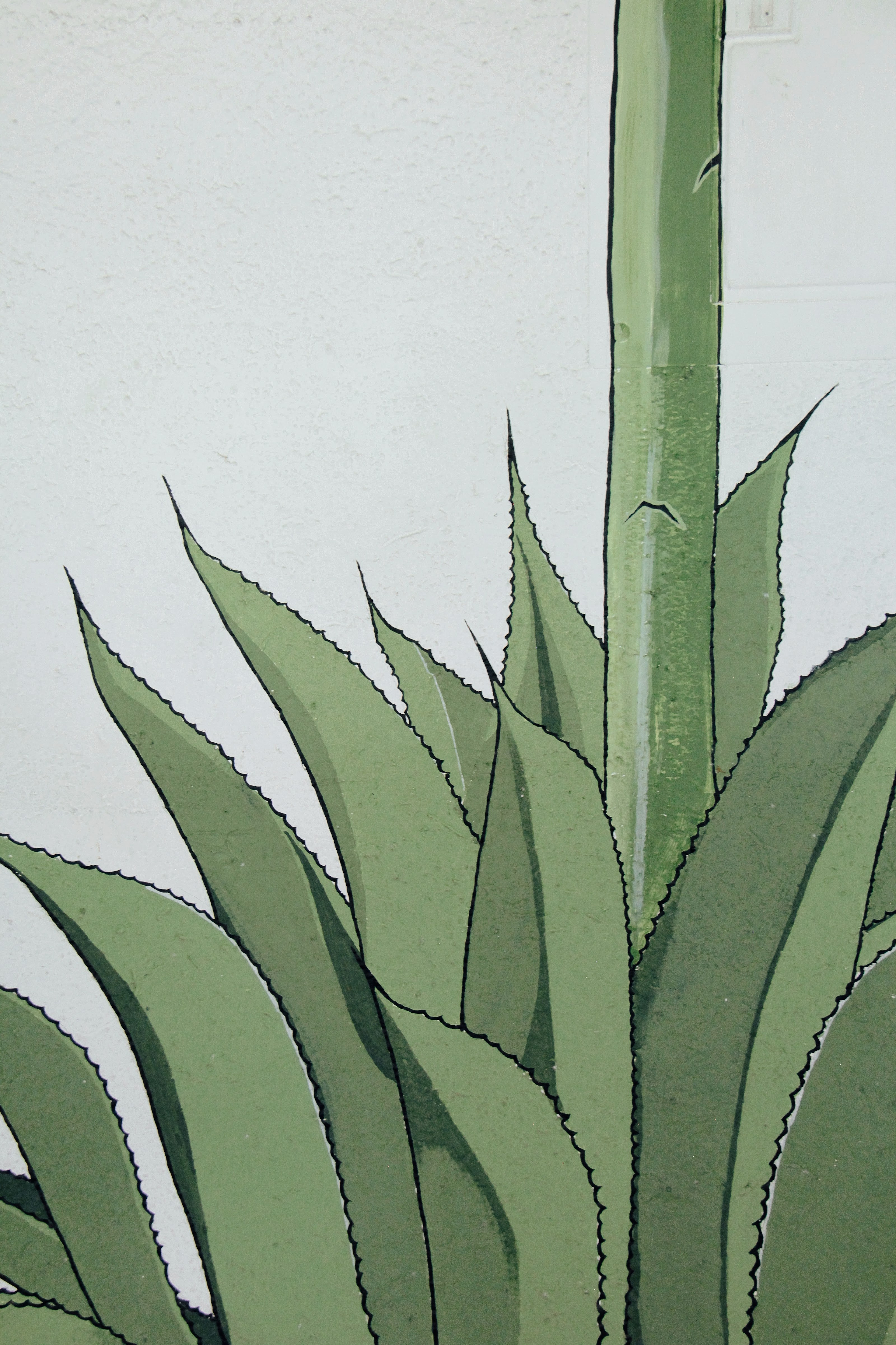 Barbacoa El Canillas image 3