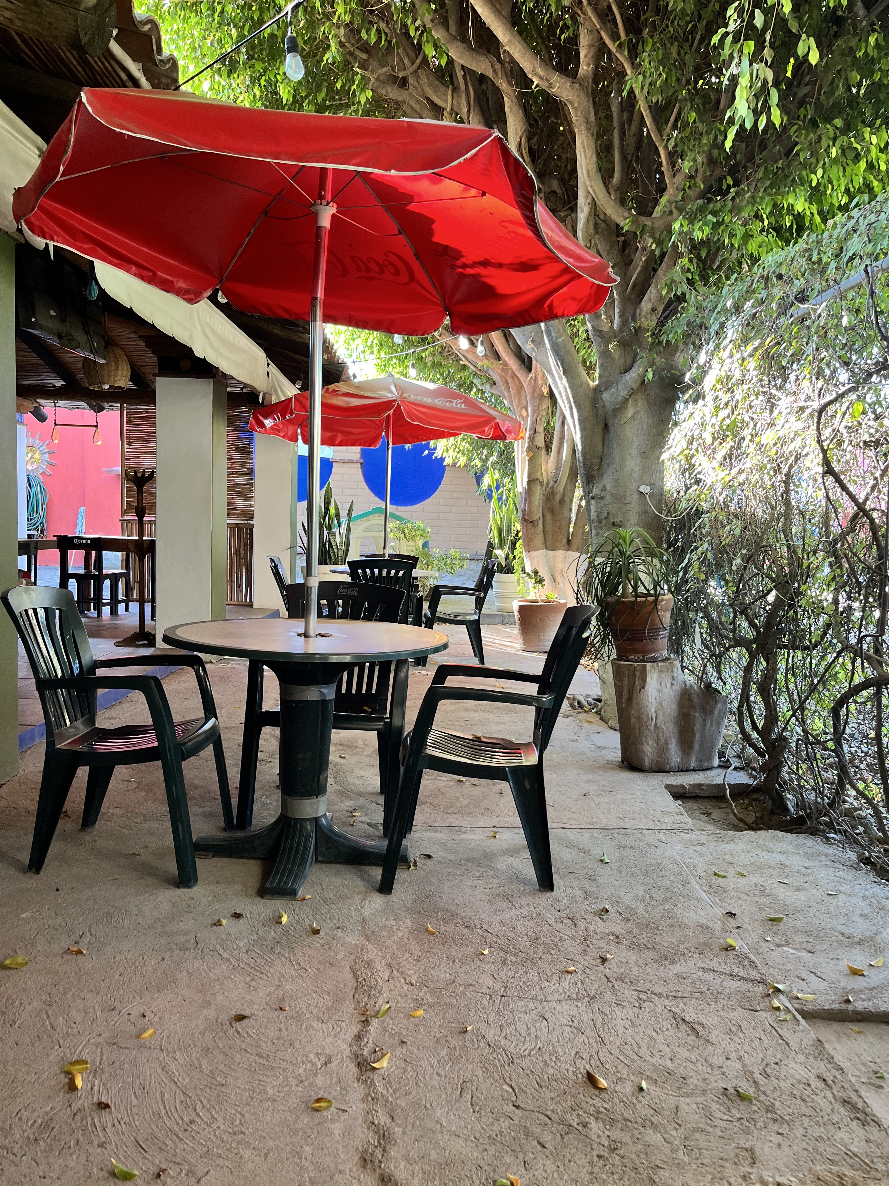 Barbacoa El Canillas image 6