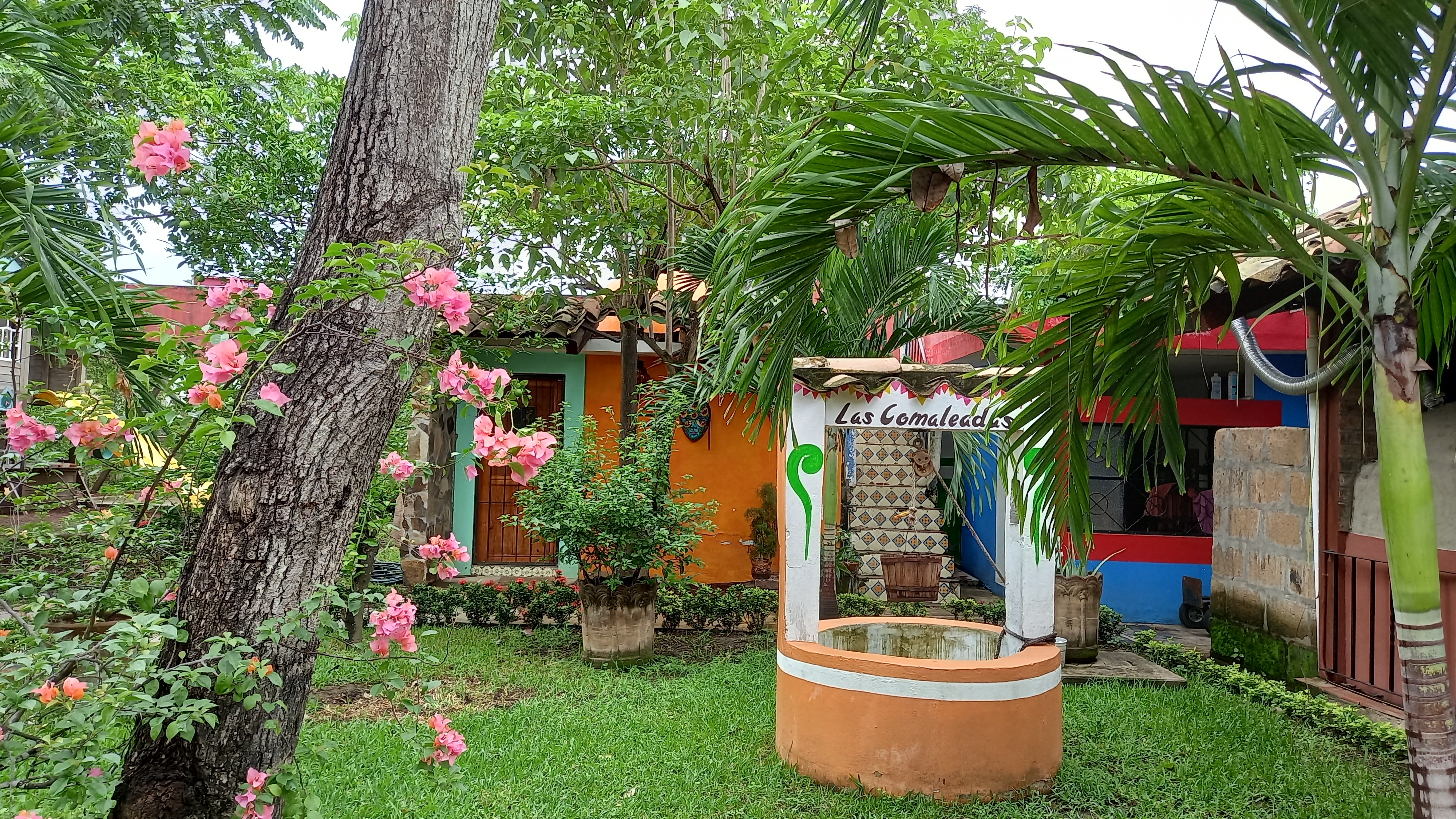 LAS COMALEADAS DE TIHUATLAN image 4