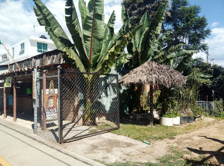 Marisquería Ocotlán image 7