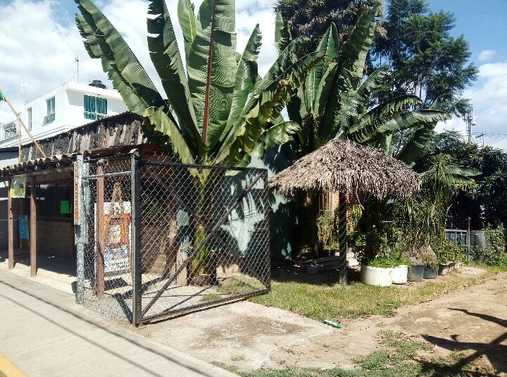Marisquería Ocotlán image 7