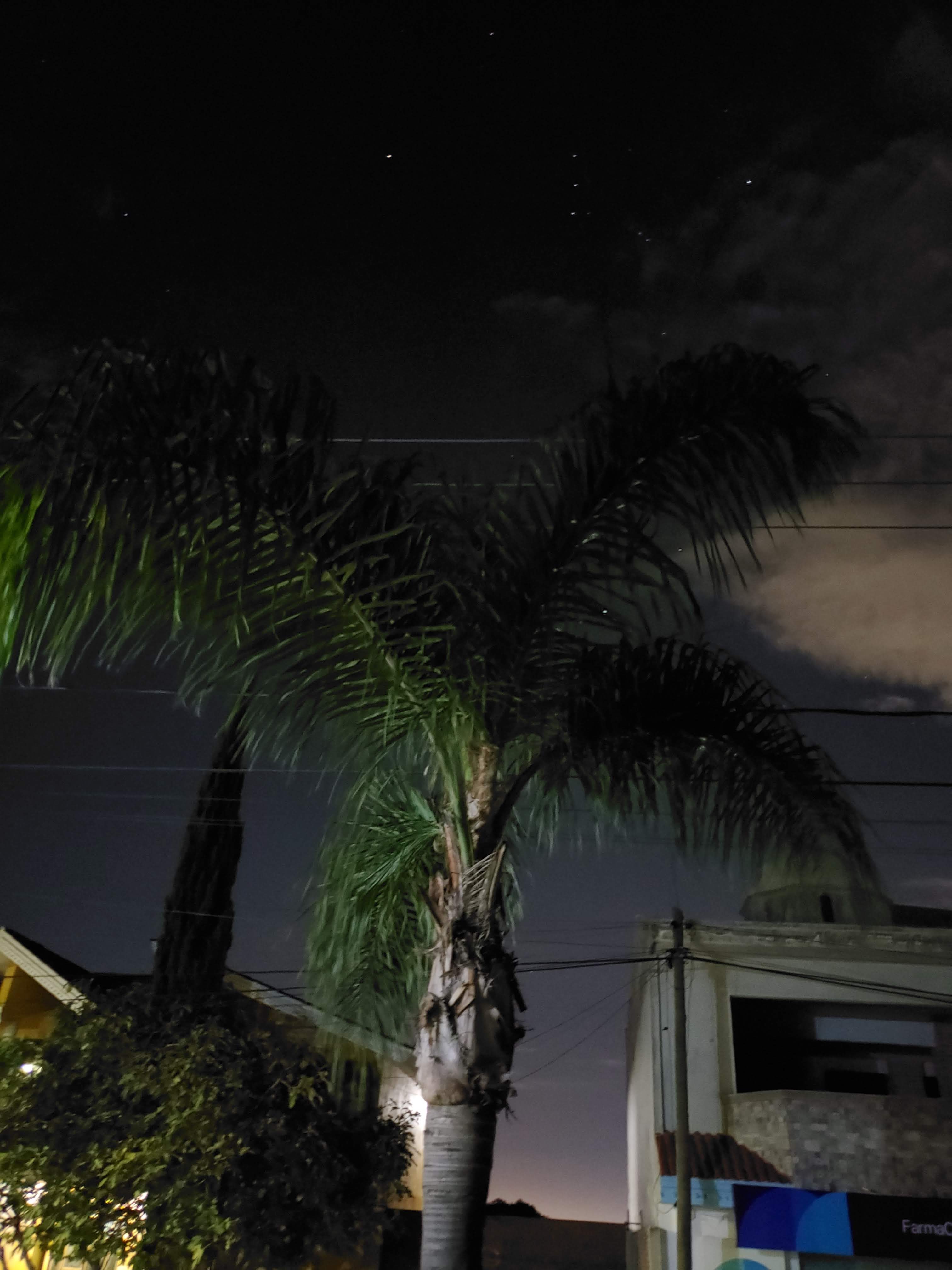 Cemitas Belen image 4