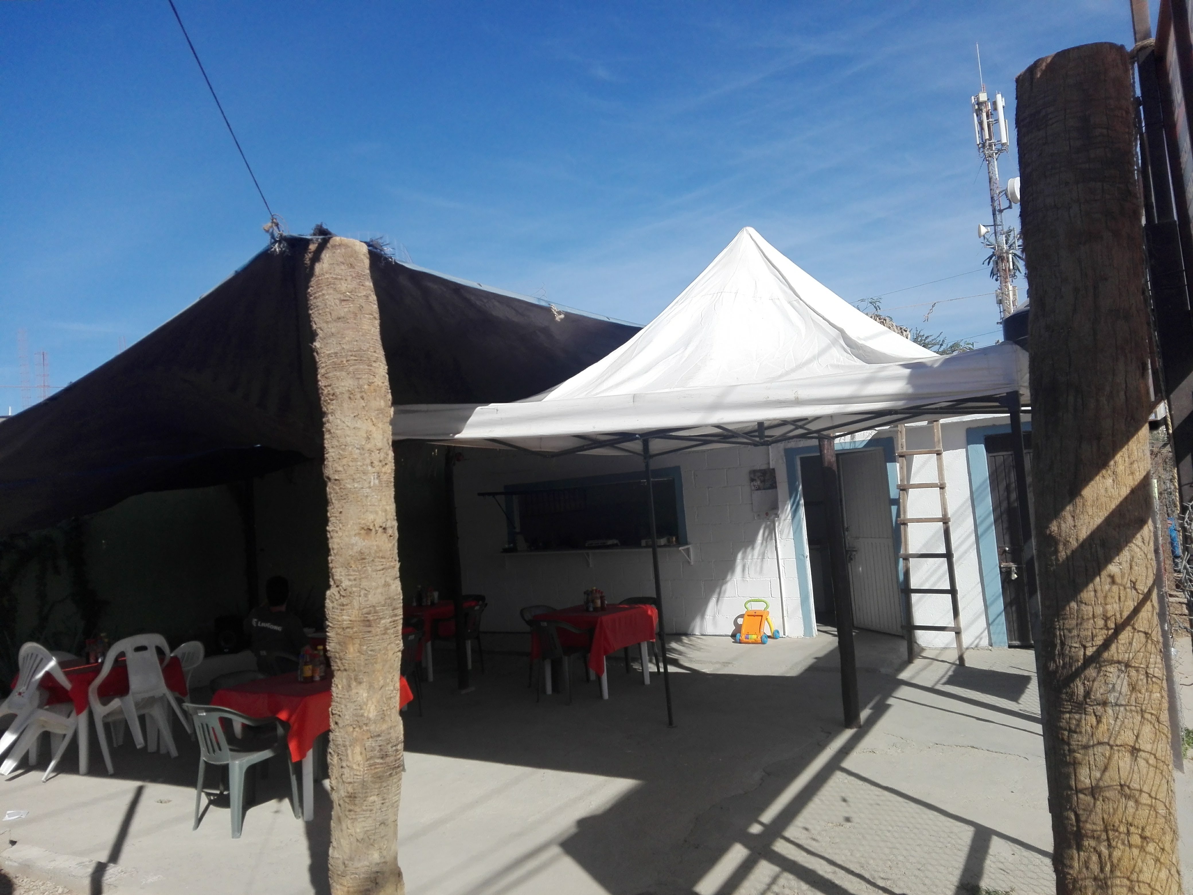 El Rey Del Camaron image 5