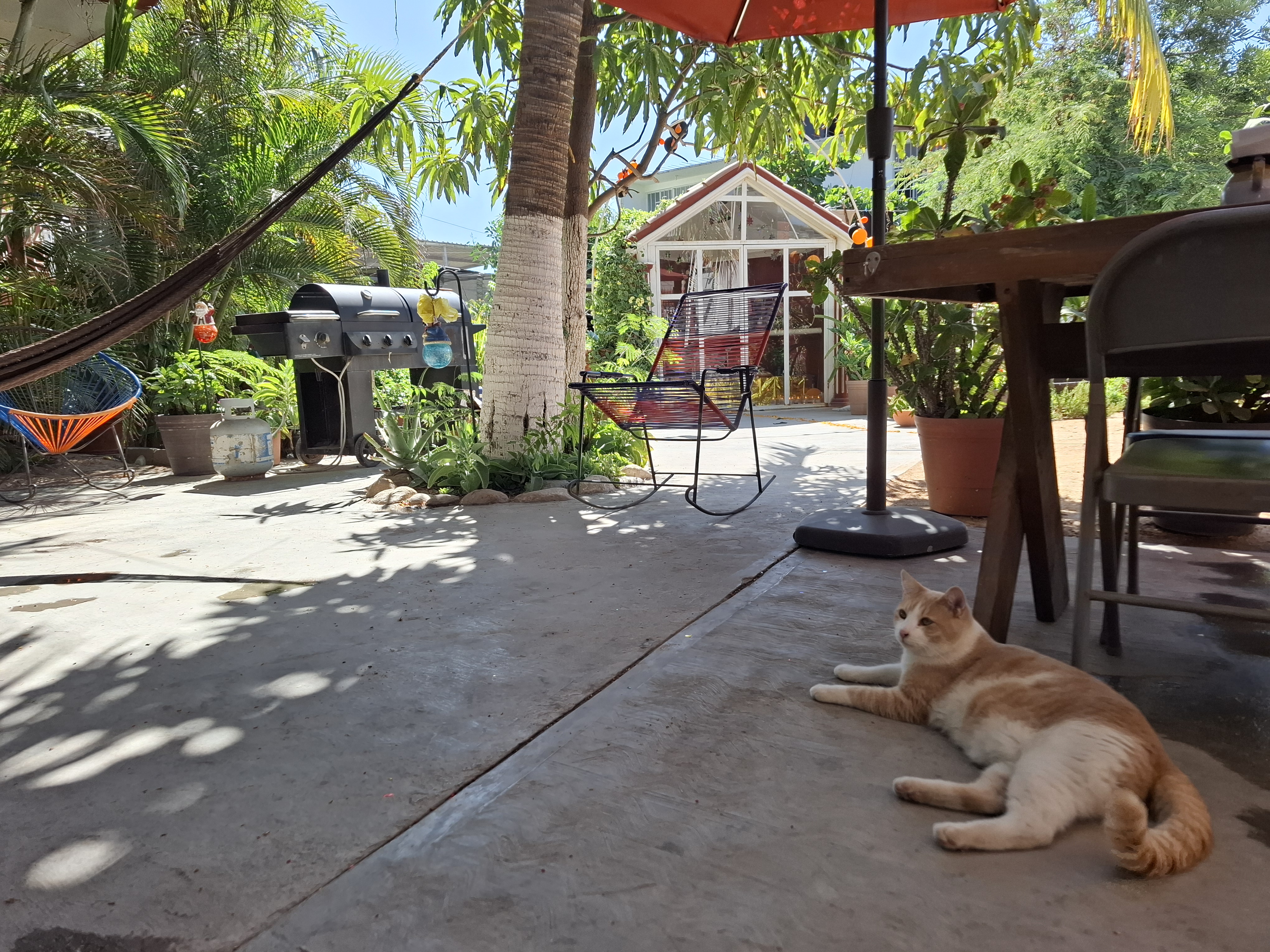 Loncheria Las Hernández image 6