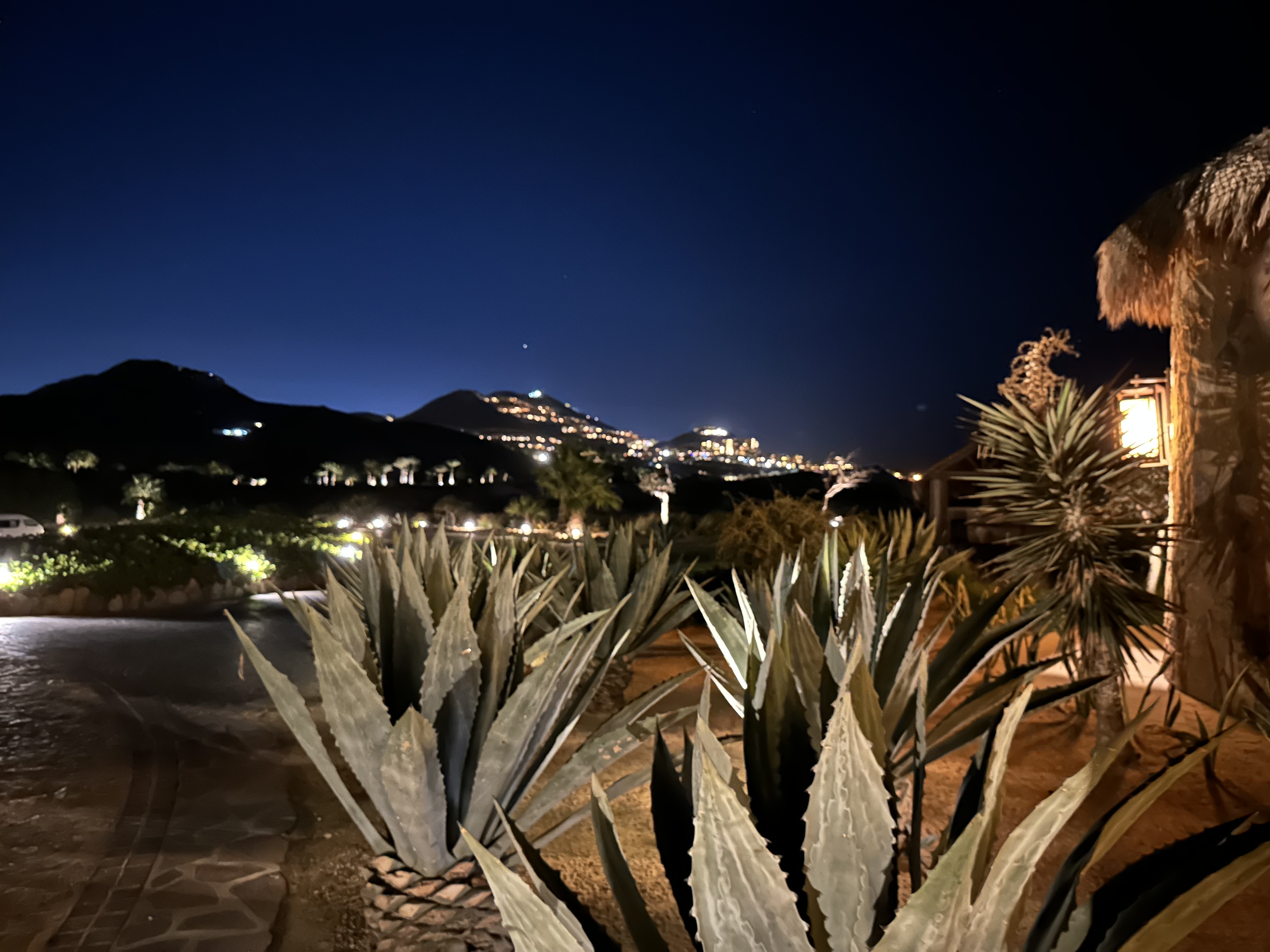 Quivira Steakhouse Restaurant image 6