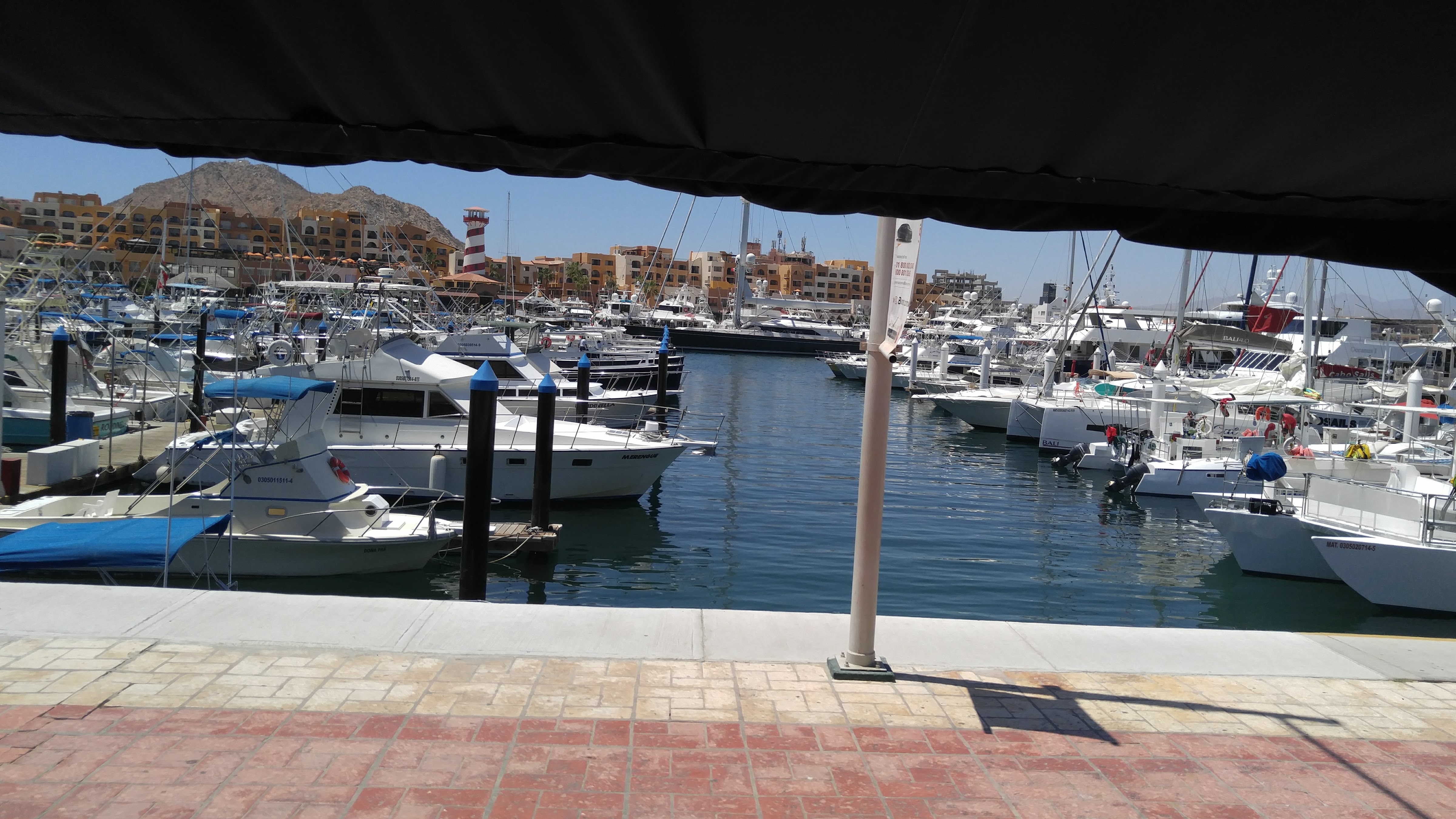 La Taverna GastroBar image 4