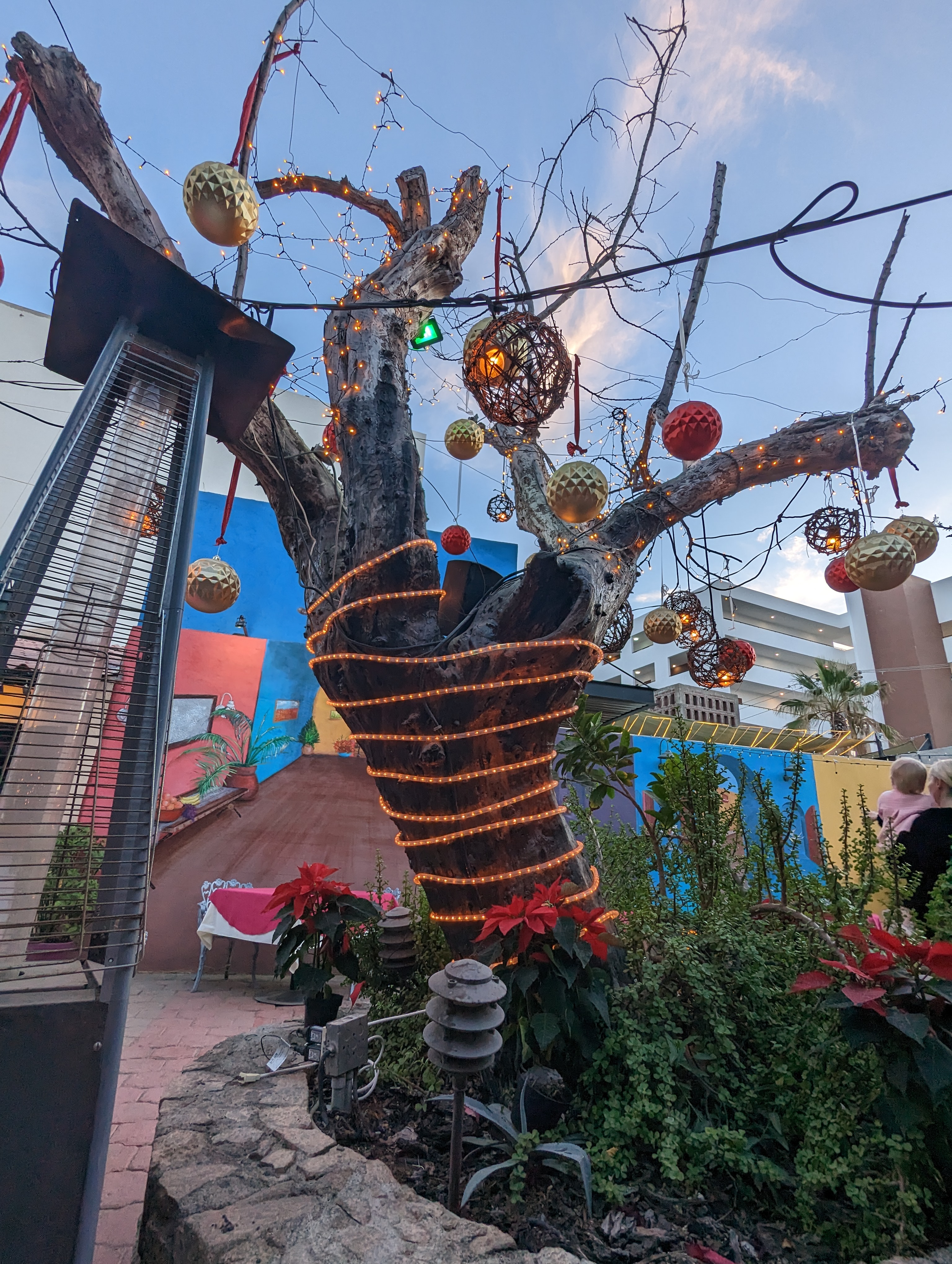 La Golondrina Restaurant image 9