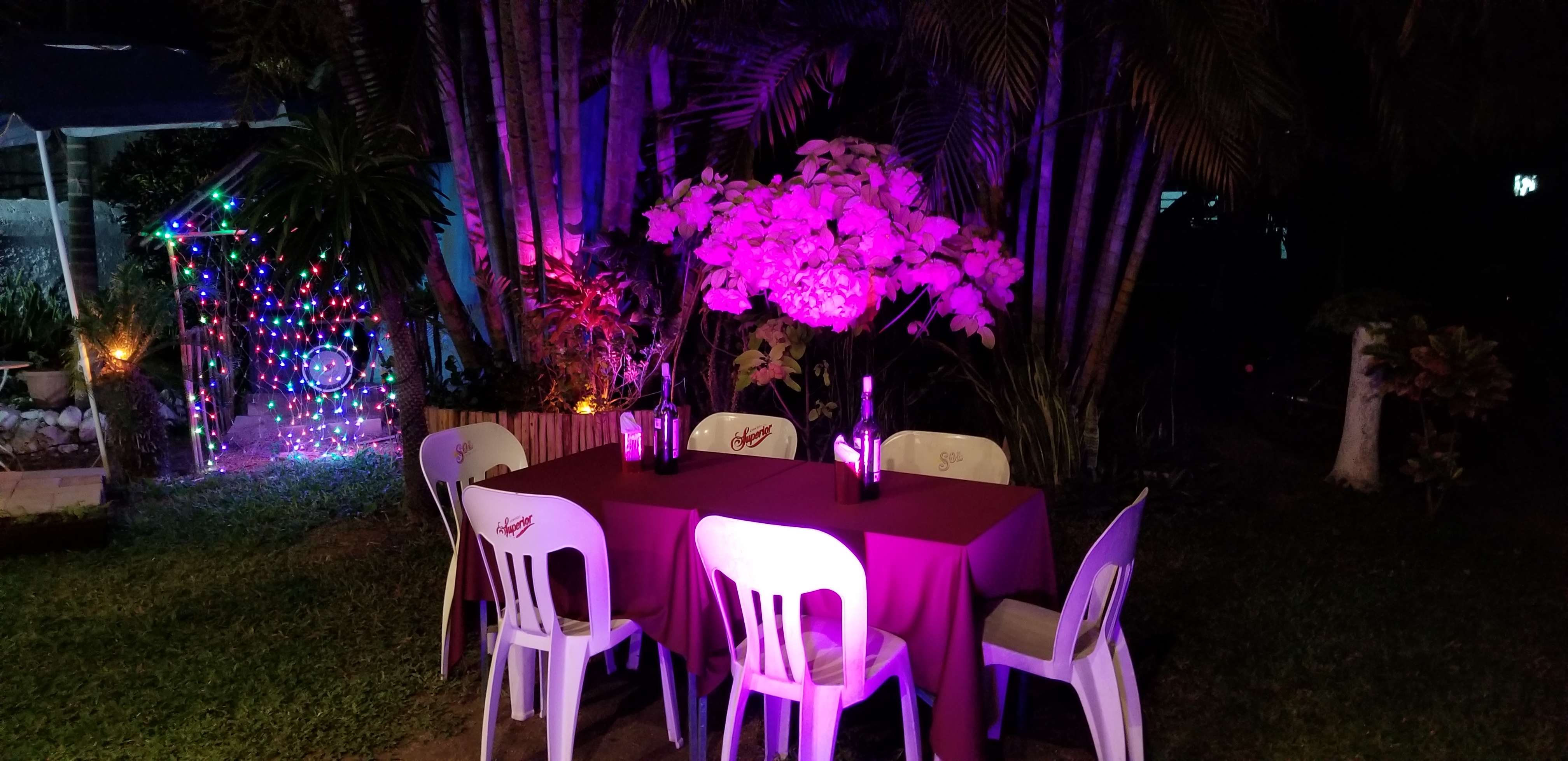 Estación 9¾ image 4