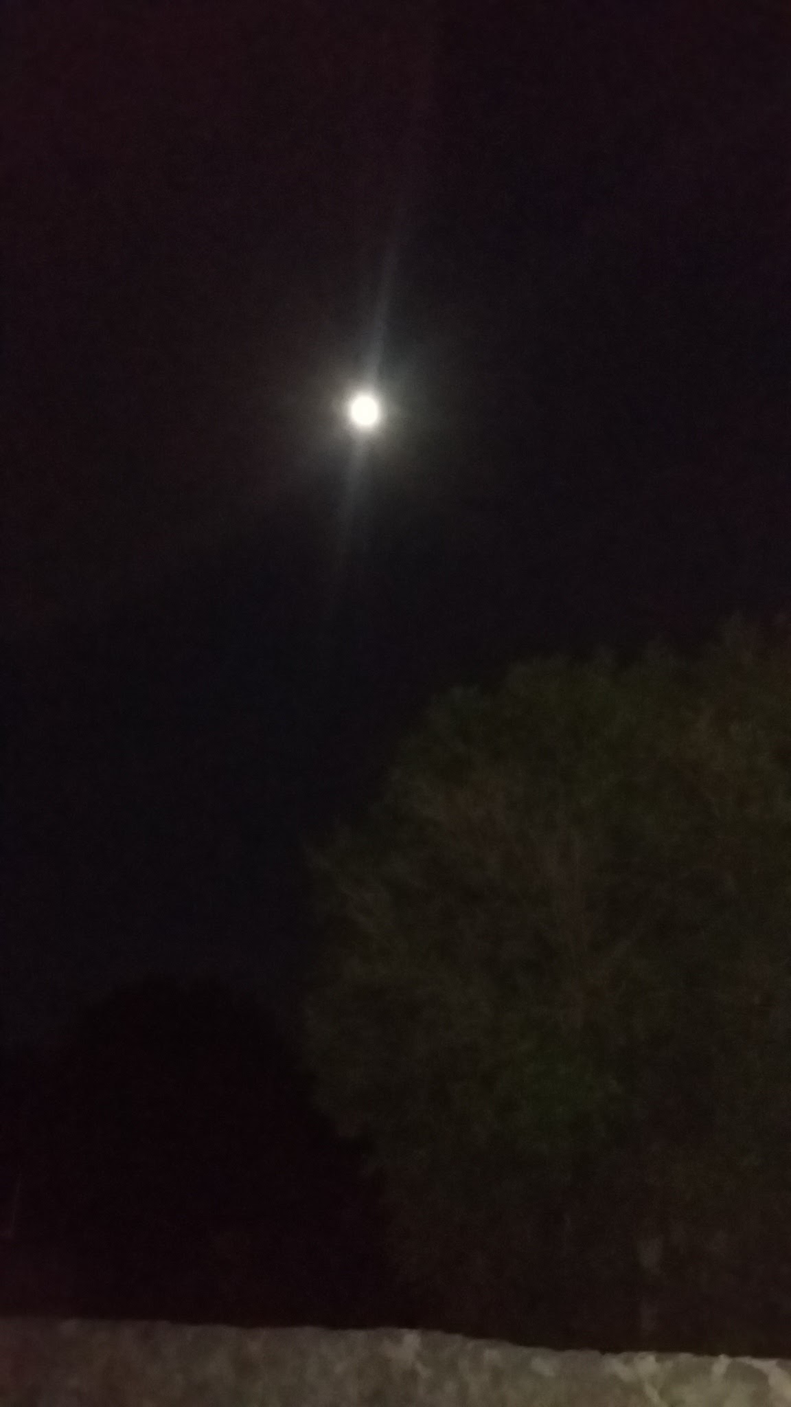 Pizzería "Tentación" image 9