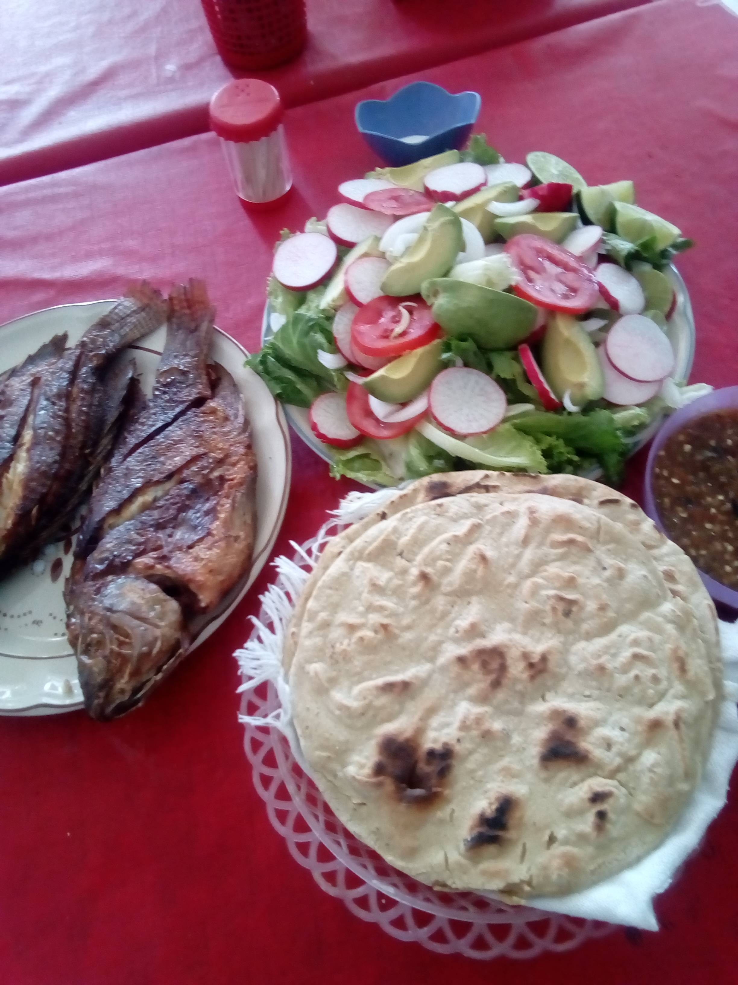 Cocina Económica "Rosy" image 5