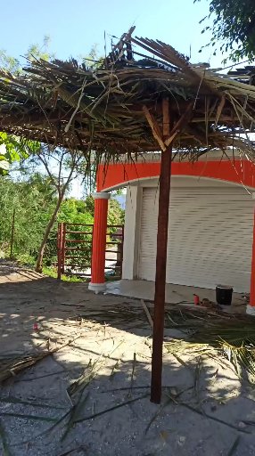 Mariscos la palapa image 3