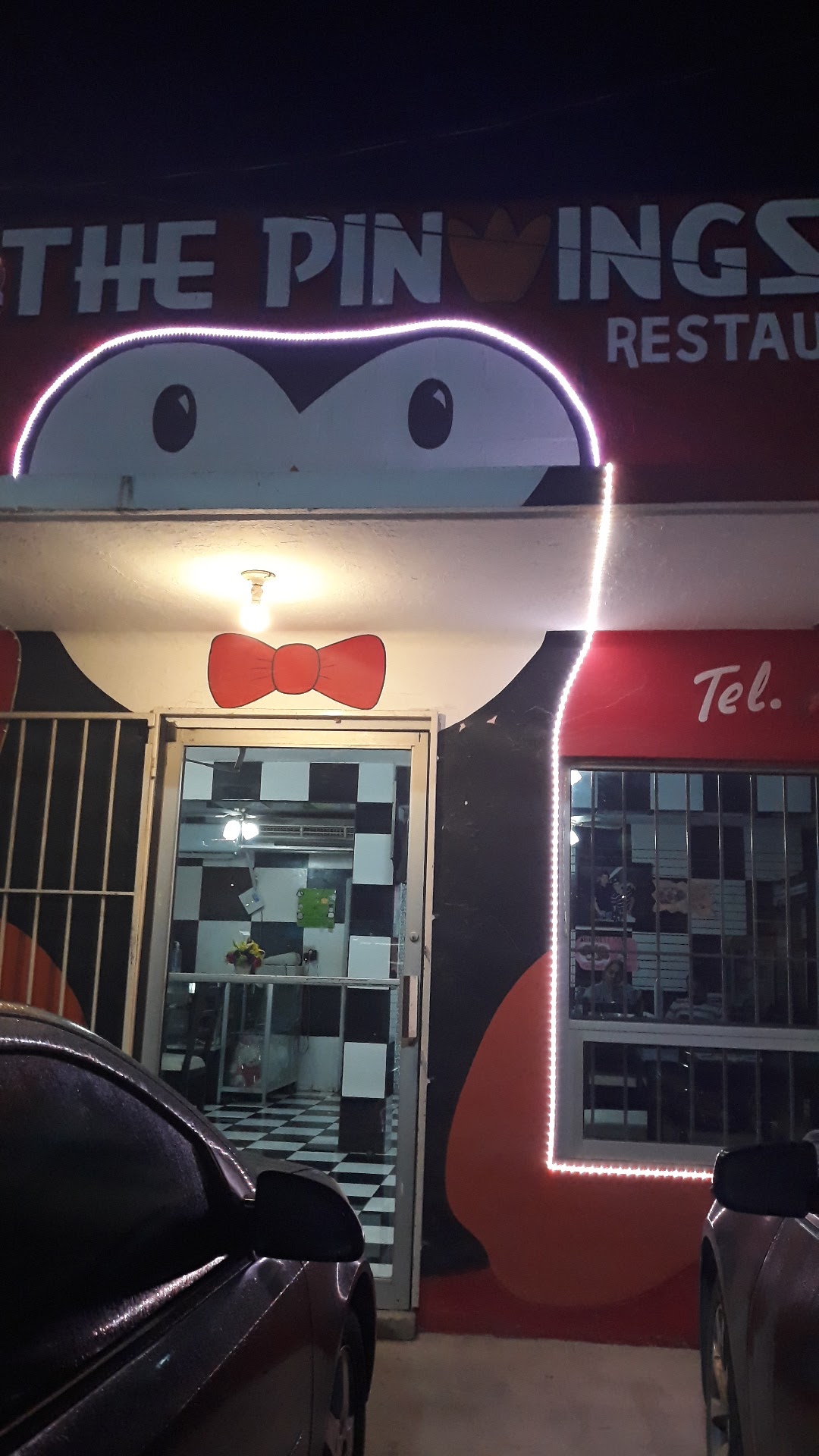 The Pinwing's Alitas image 2