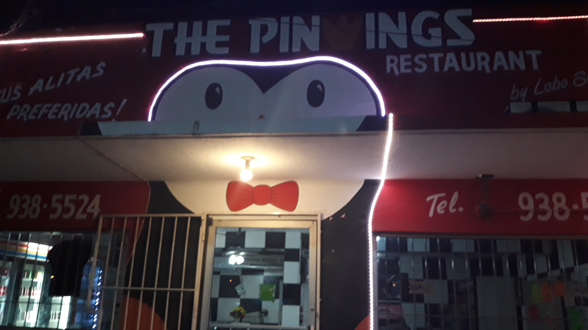 The Pinwing's Alitas image 7