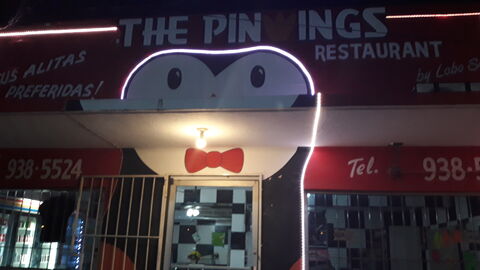 The Pinwing's Alitas image 7