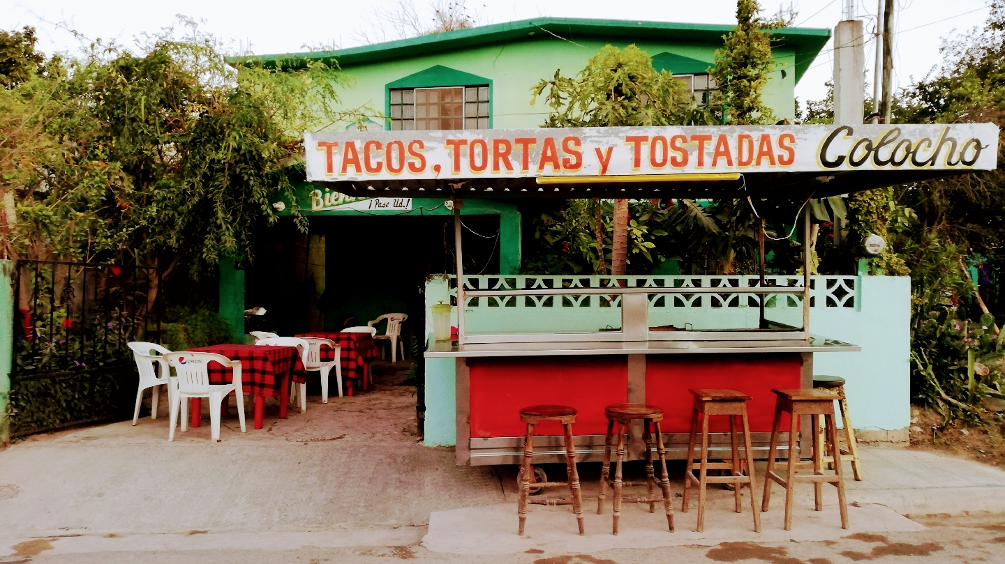 Taquería El Colocho image 1