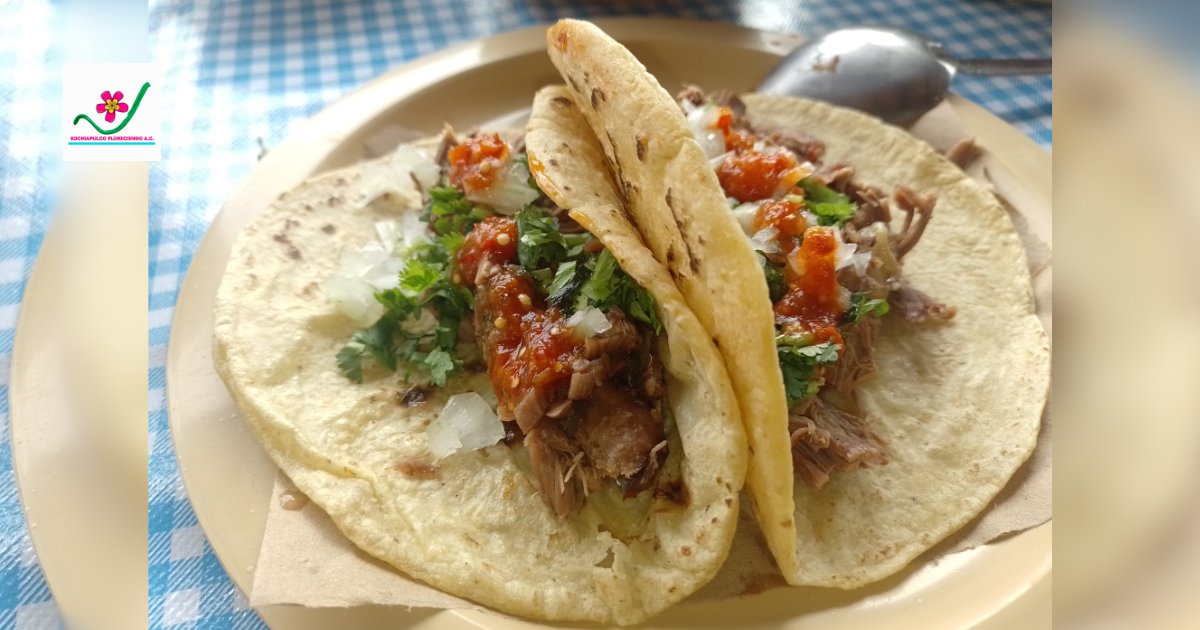 Barbacoa - Colectivo Solidario Xochiapulco image 1