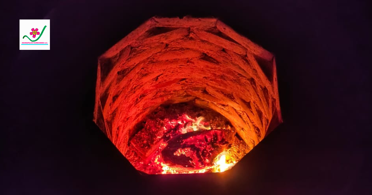 Barbacoa - Colectivo Solidario Xochiapulco image 4