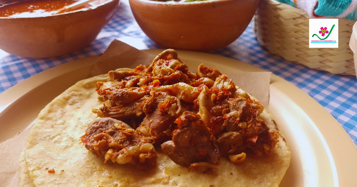 Barbacoa - Colectivo Solidario Xochiapulco image 7