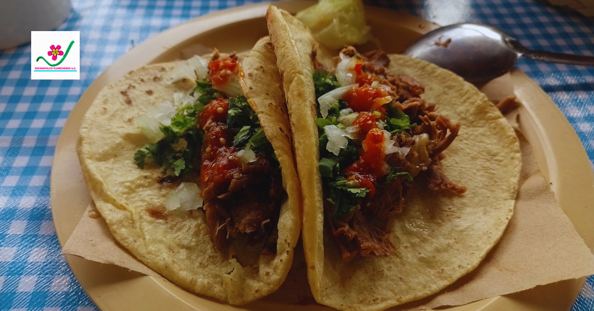 Barbacoa - Colectivo Solidario Xochiapulco image 10