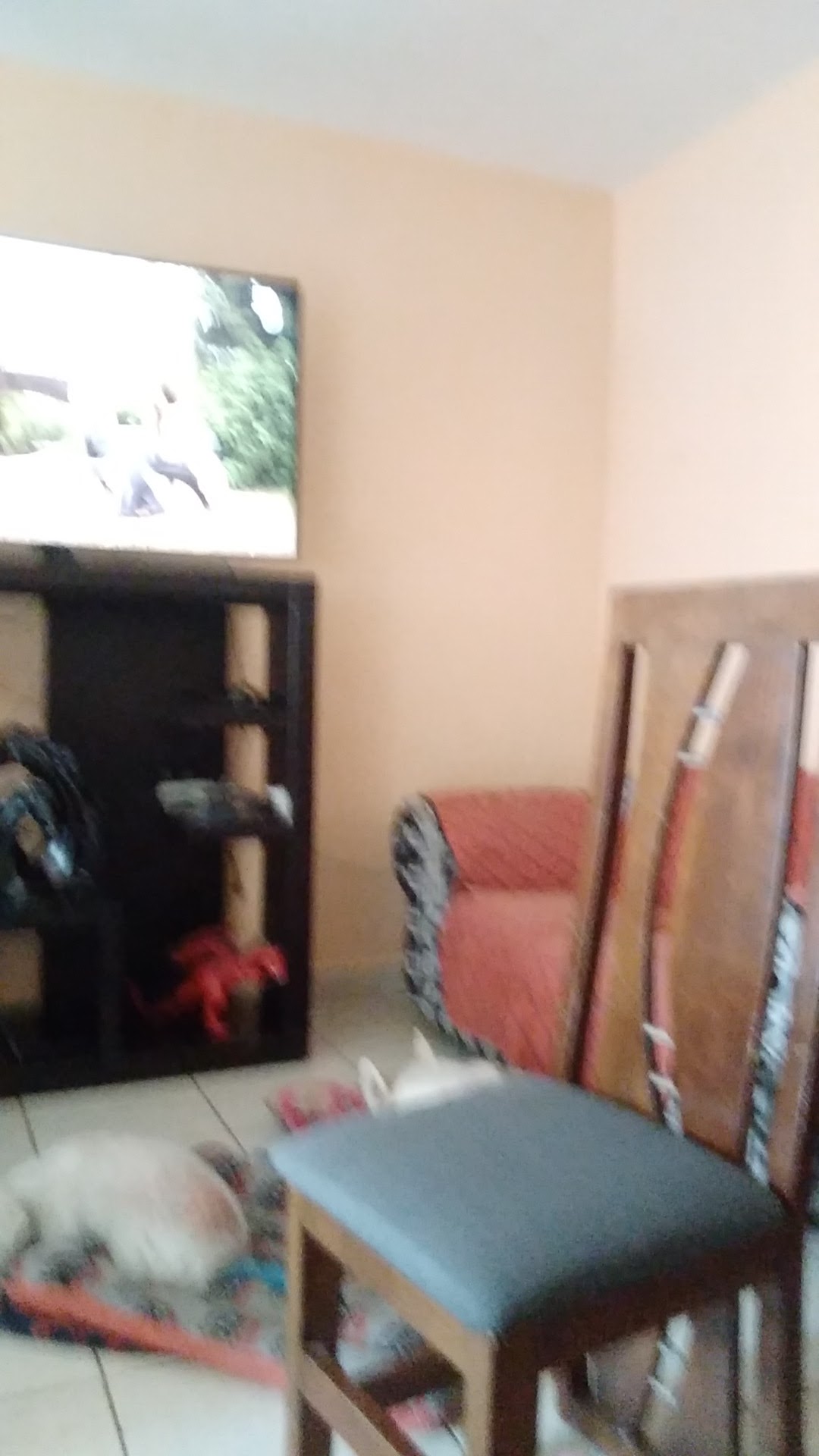 Loncheria El Chino San Fco Romo image 1