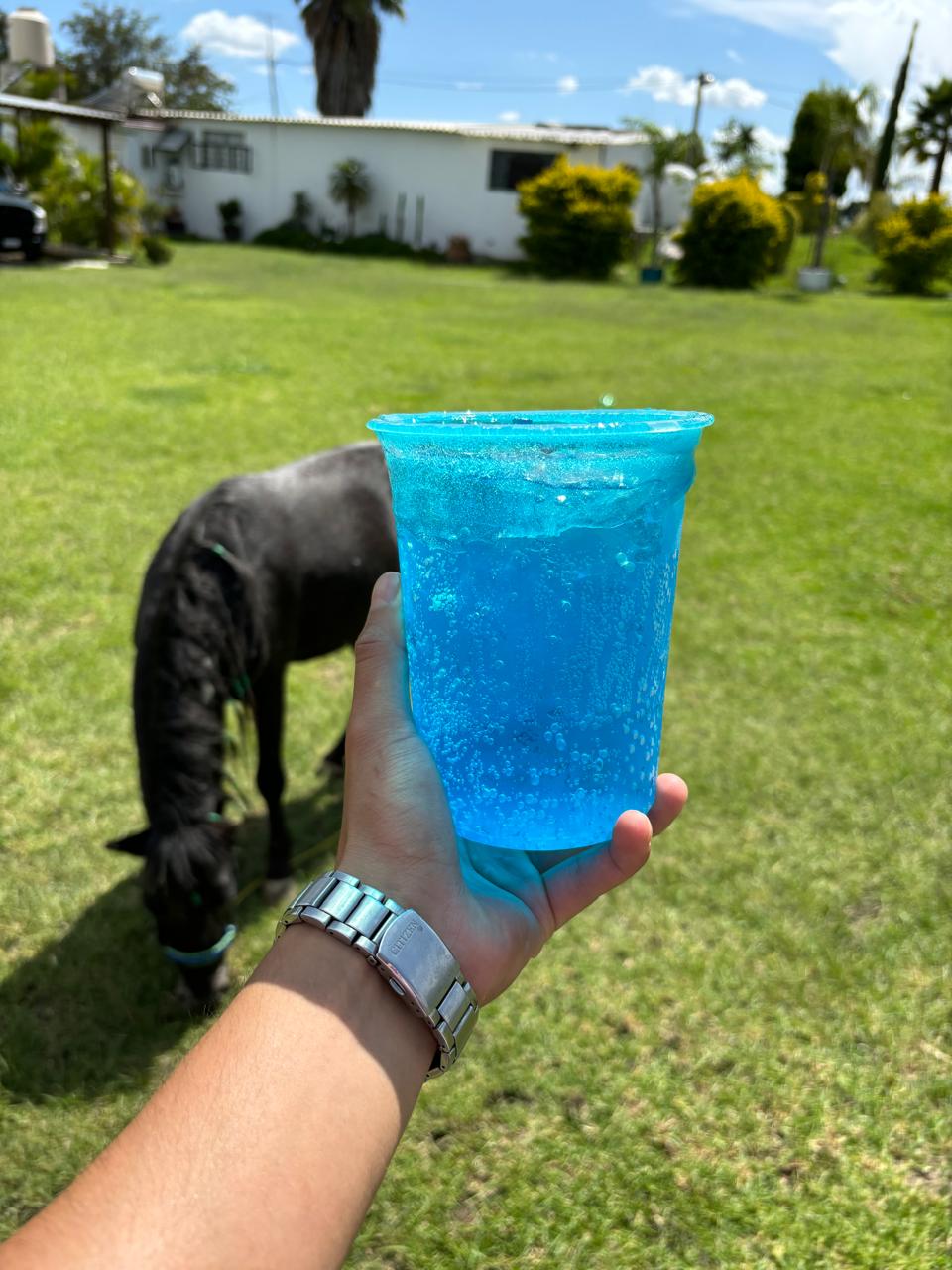 Los Primos “Asados y Micheladas estilo ranchero” image 3