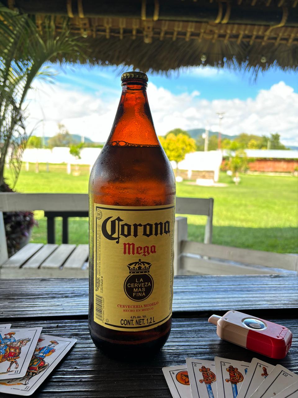 Los Primos “Asados y Micheladas estilo ranchero” image 4