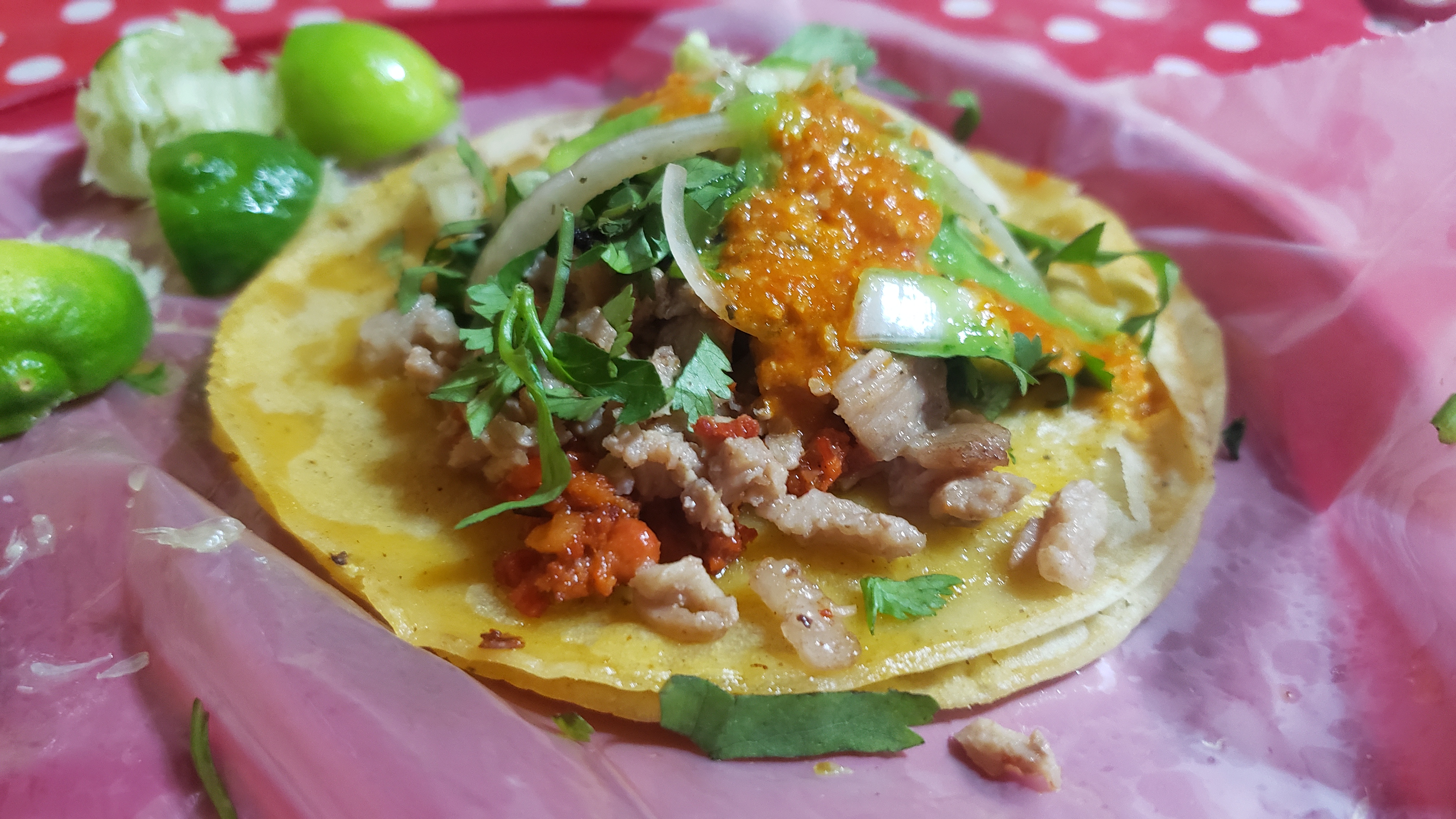 Los Campechanos image 1