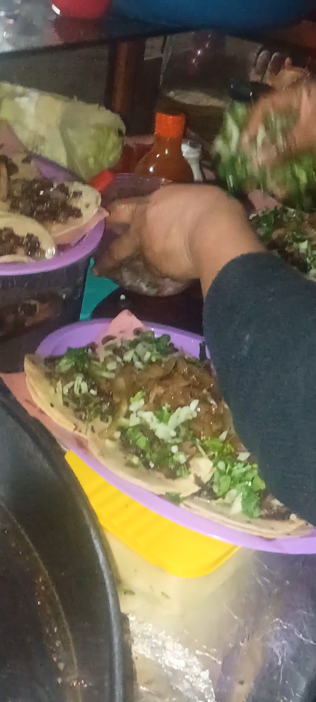 TAQUERIA LA BICHOTA image 3