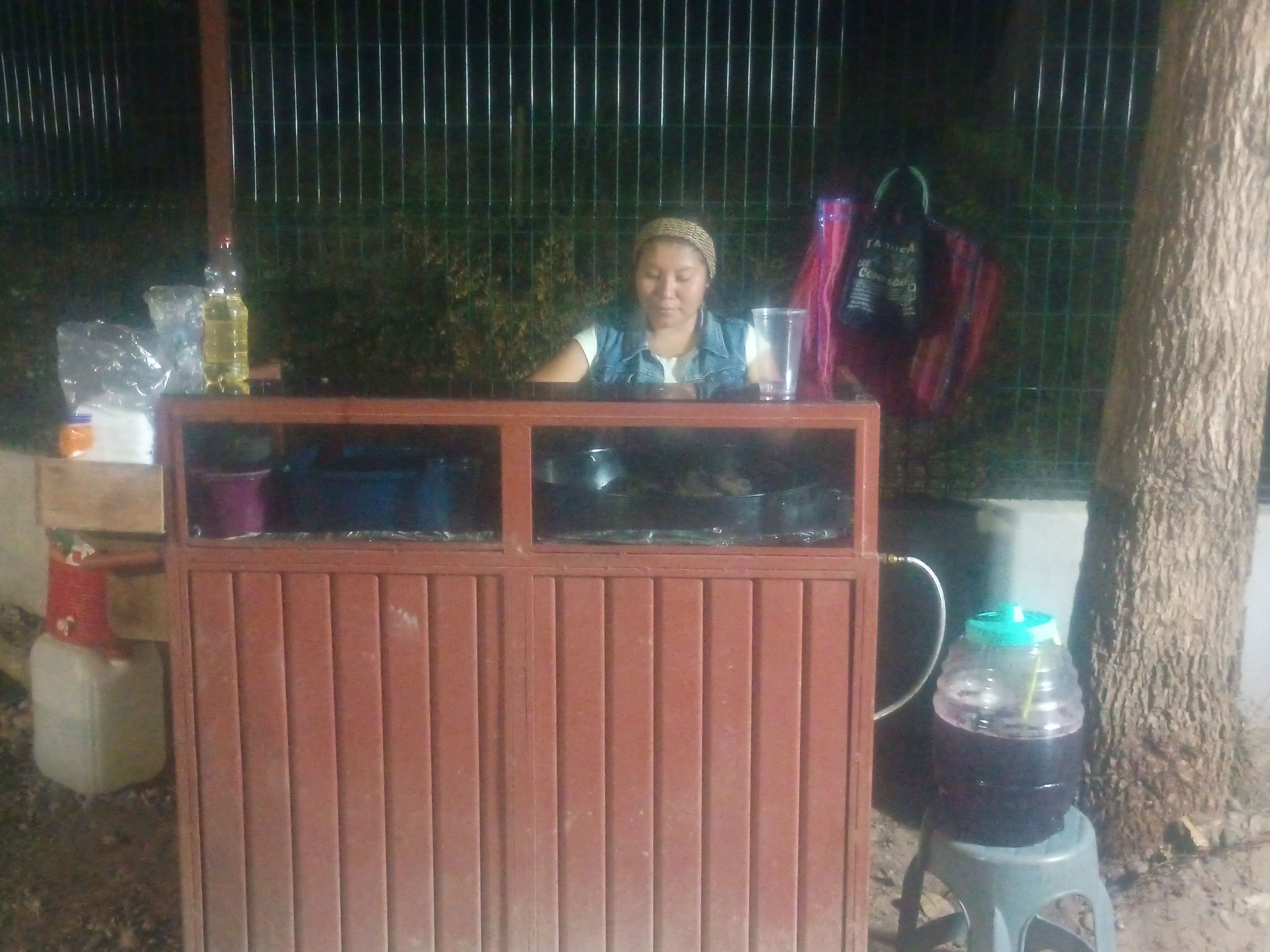 TAQUERIA LA BICHOTA image 5