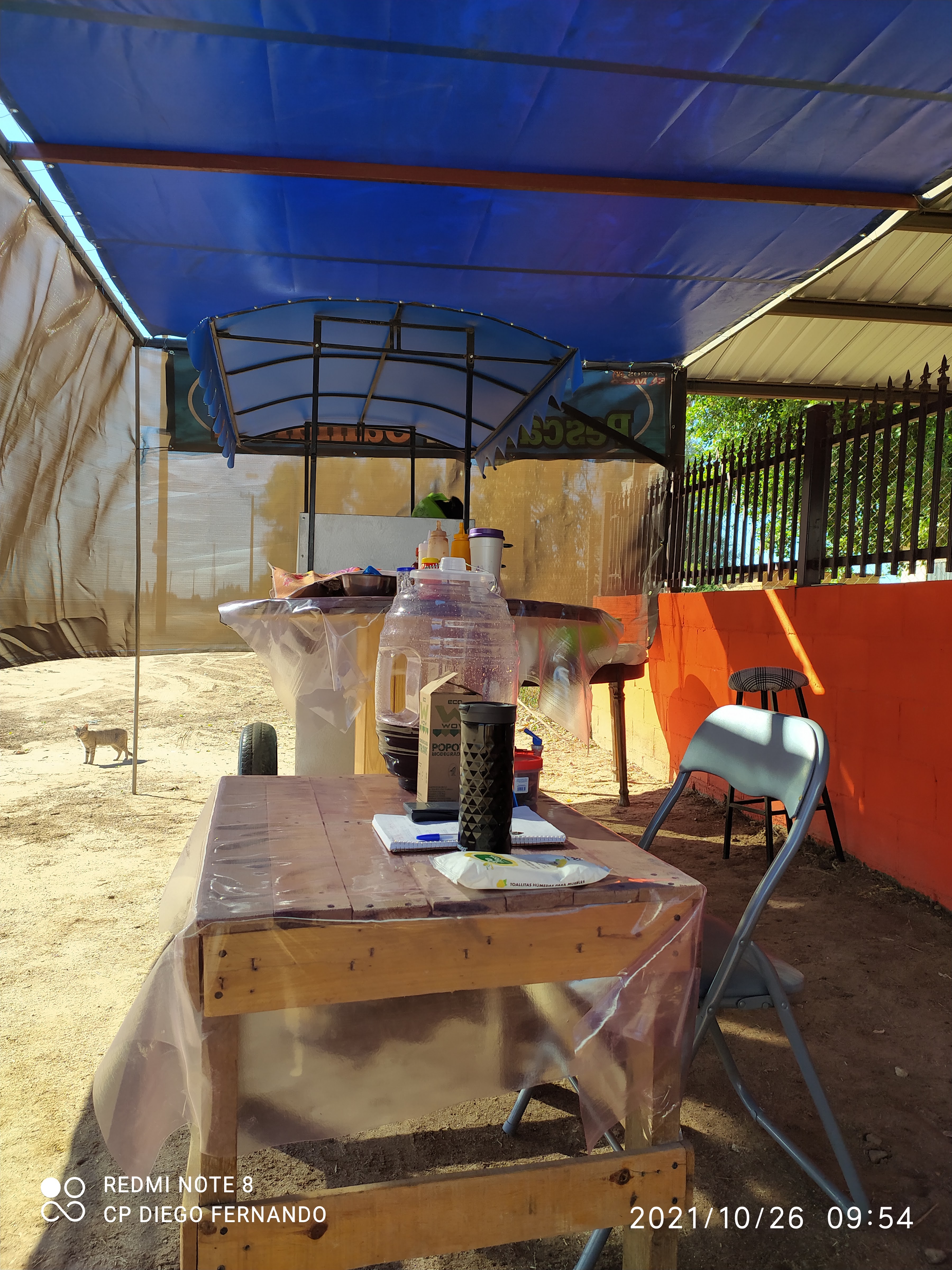 Tacos "El Mero" de Pescado, Camarón y Mantarraya image 4