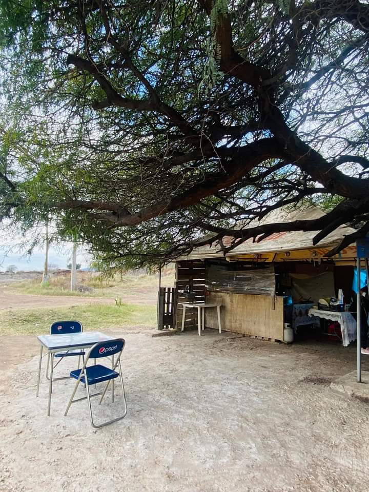 Gorditas y quesadillas El Mezquitito image 1