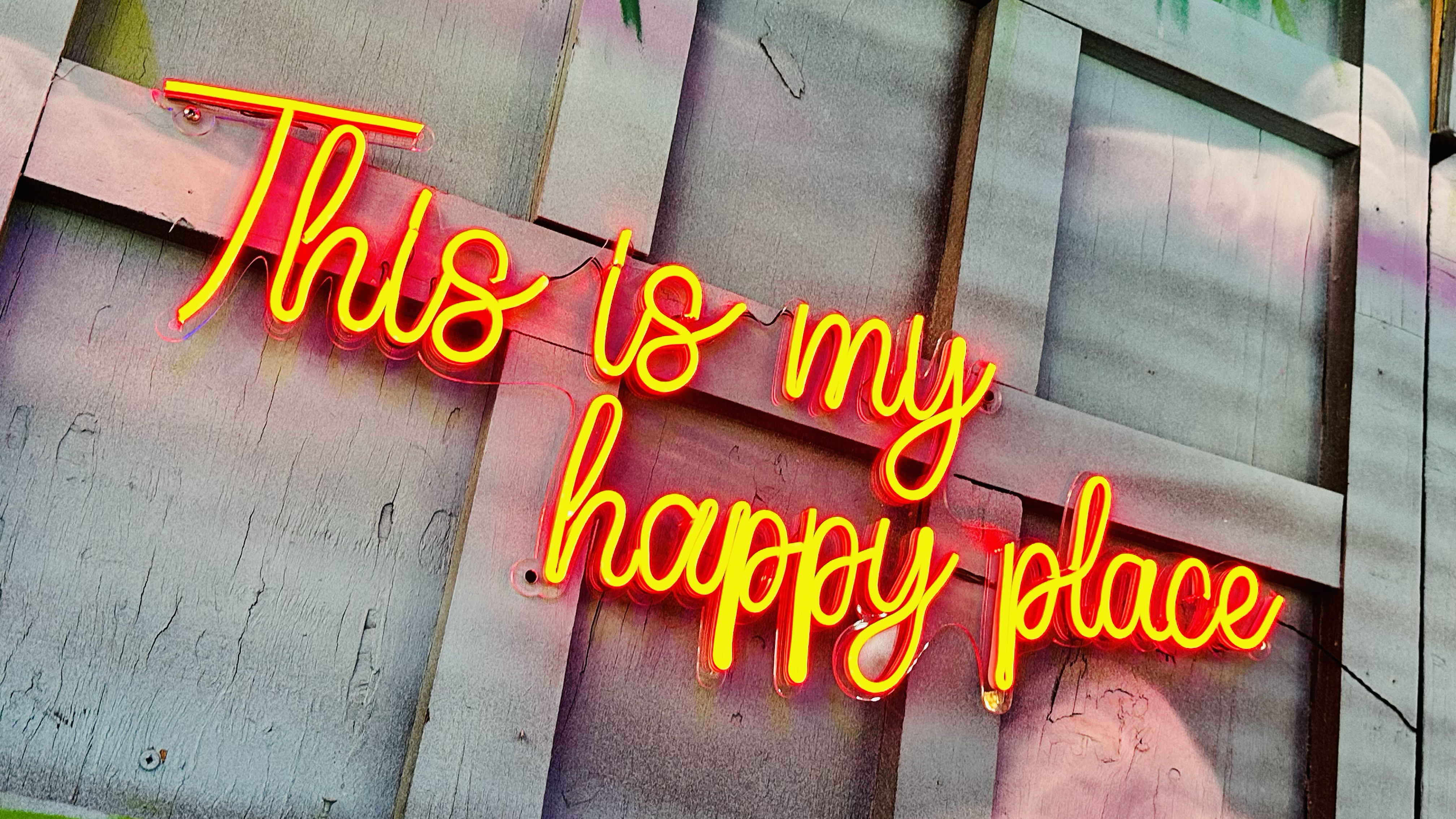 Toños & Charlies image 3