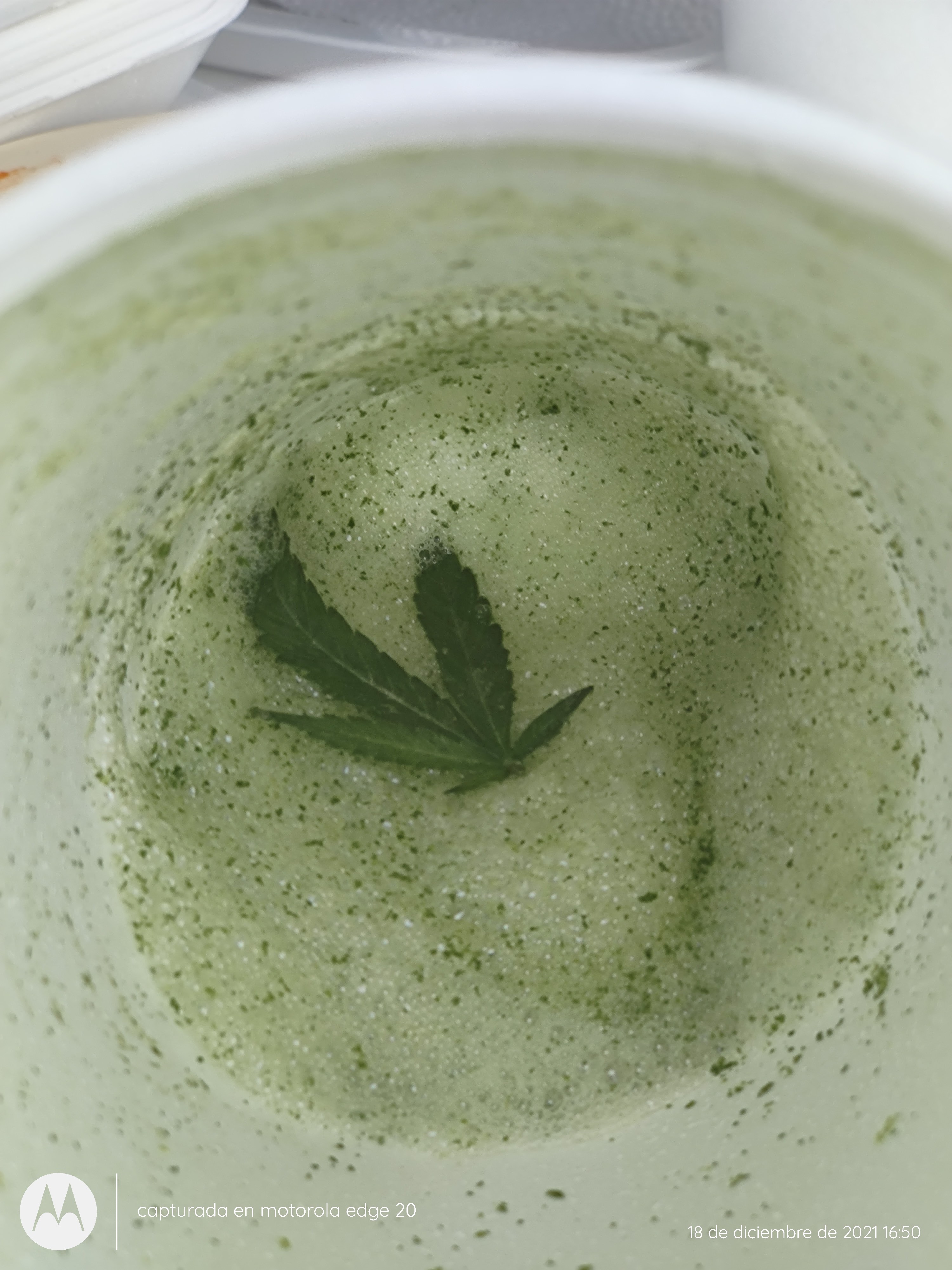 La Barra Mompani image 10