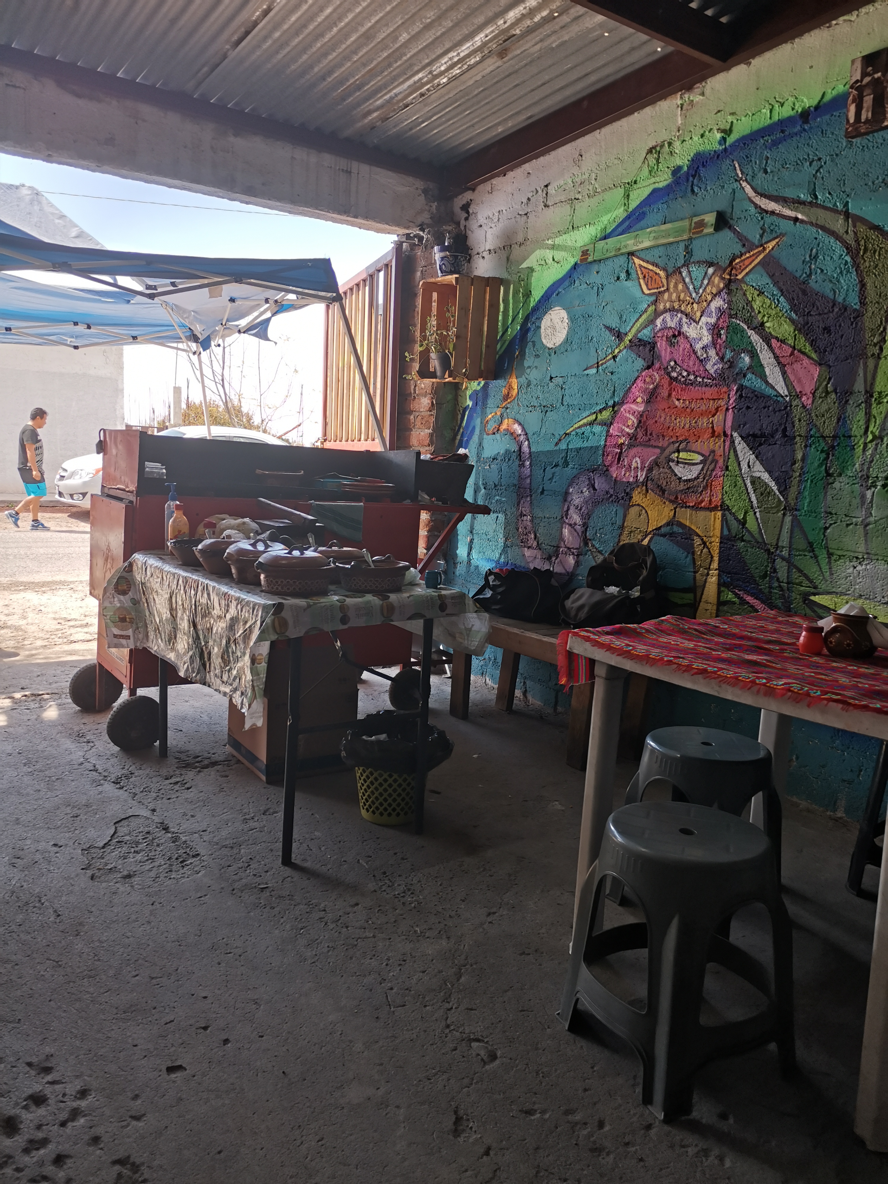 El Tlacuache image 5